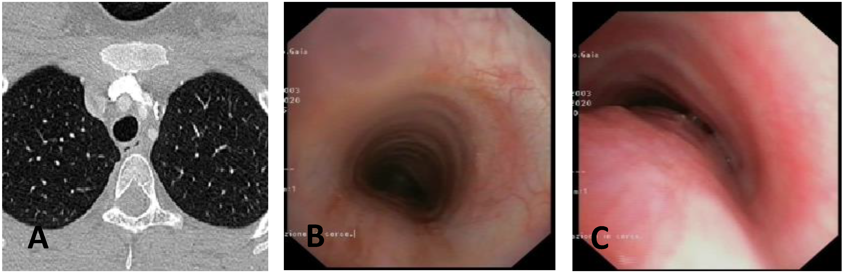 Children 12 01511 g006 Children 12 01511 g006