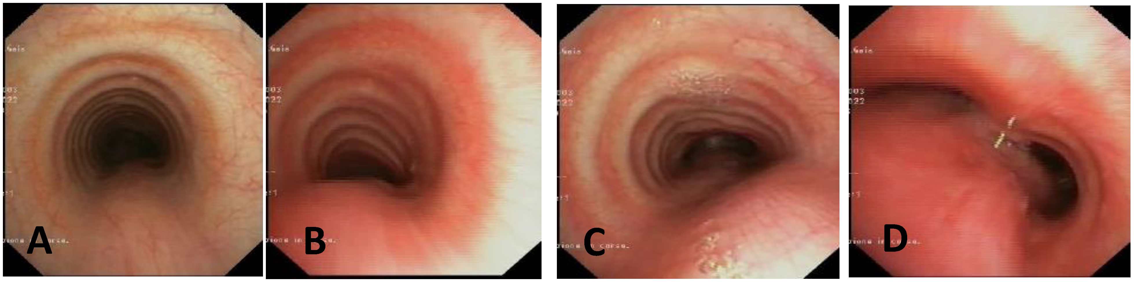 Children 12 01511 g007 Children 12 01511 g007