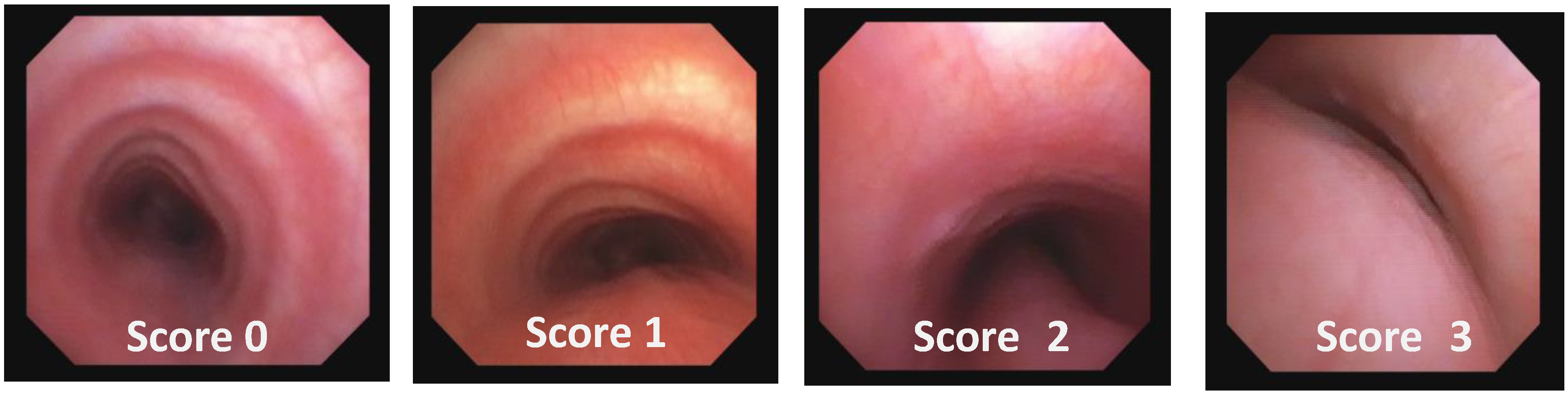 Children 12 01511 g009 Children 12 01511 g009