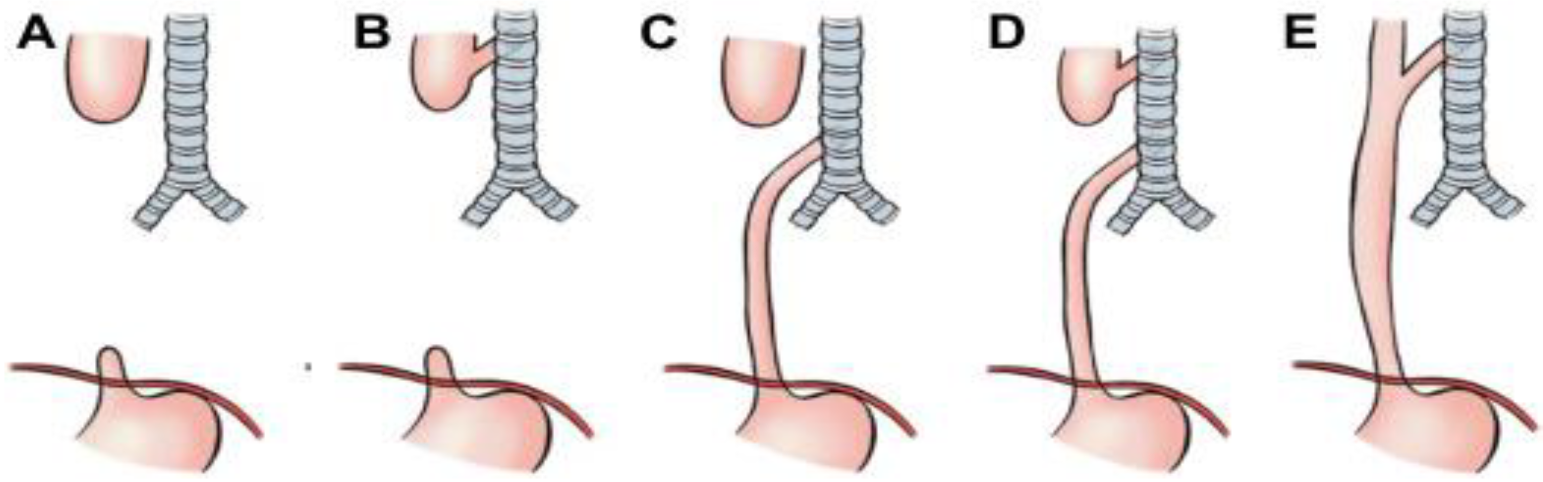 Children 12 01511 g010 Children 12 01511 g010