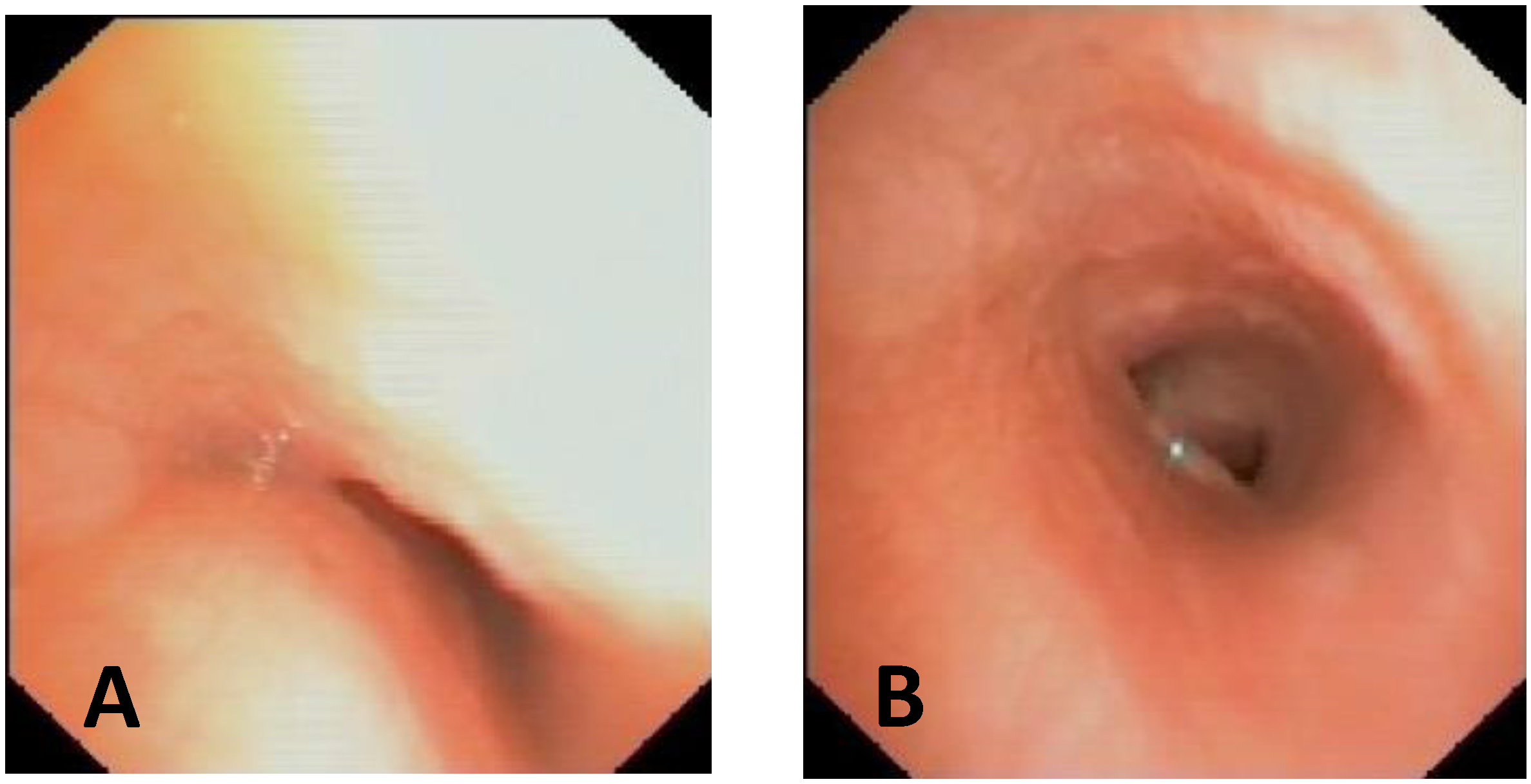 Children 12 01511 g012 Children 12 01511 g012