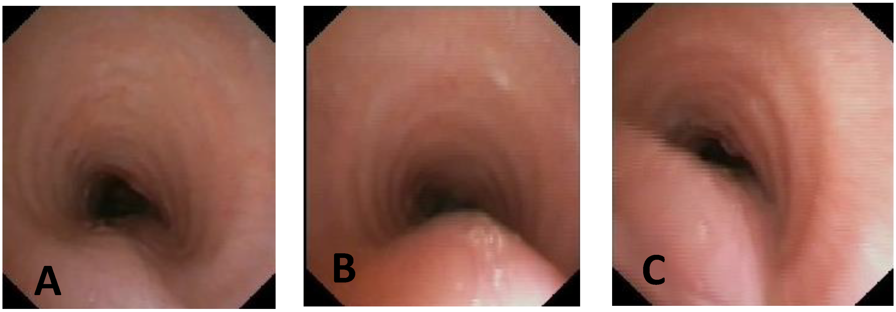 Children 12 01511 g014 Children 12 01511 g014