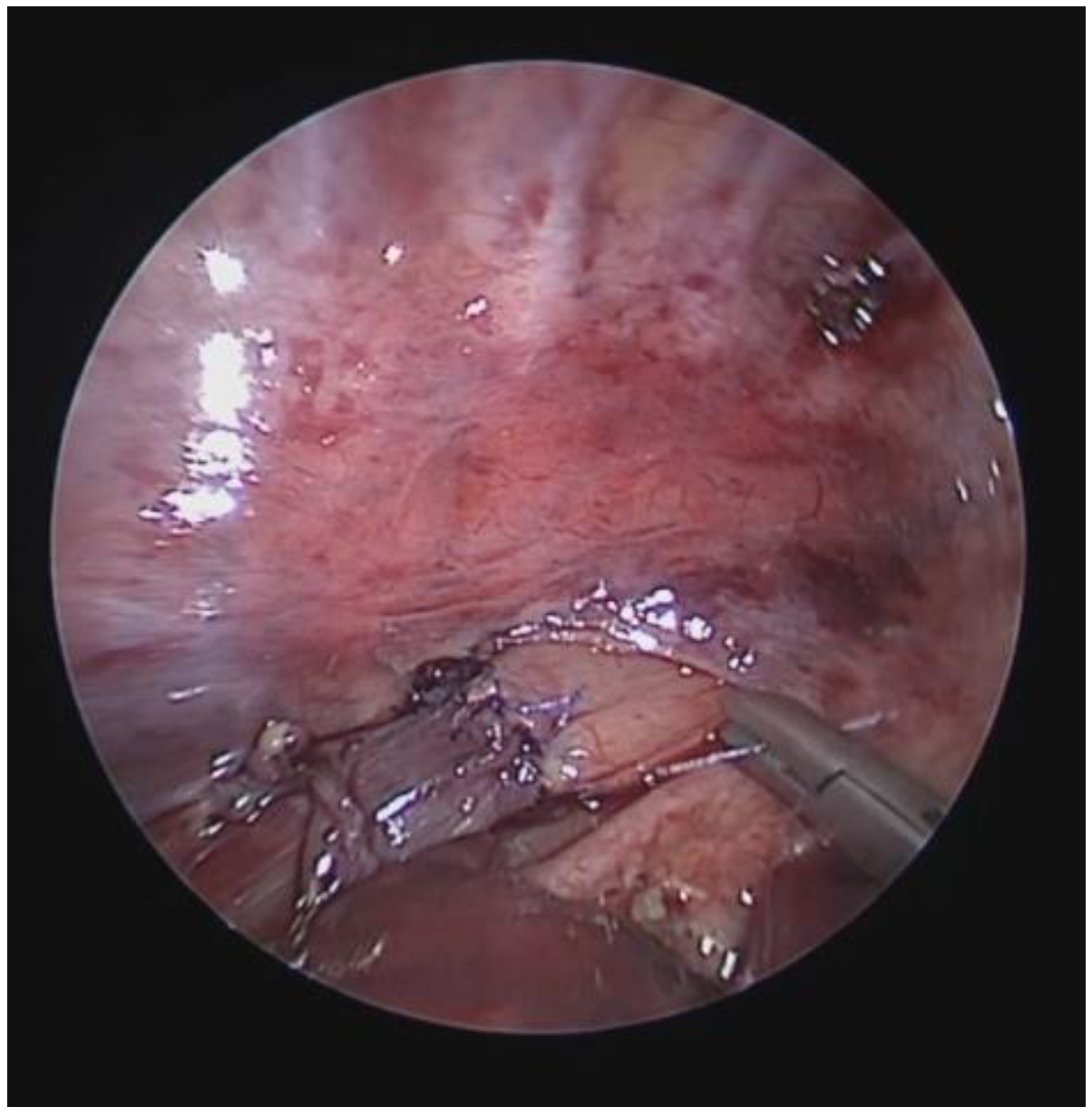 Children 12 01511 g015 Children 12 01511 g015