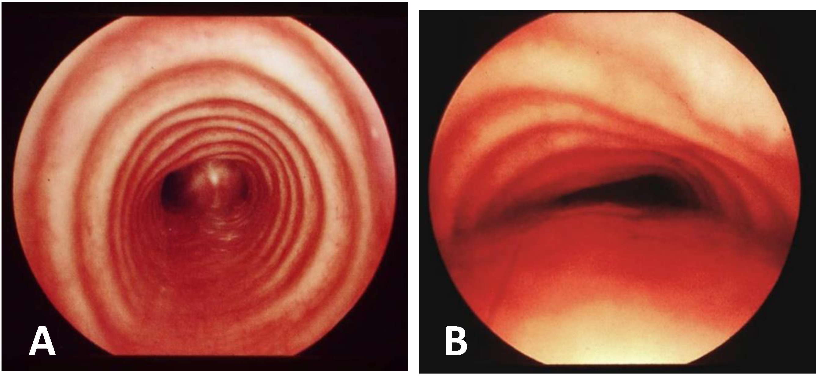 Children 12 01511 g016 Children 12 01511 g016