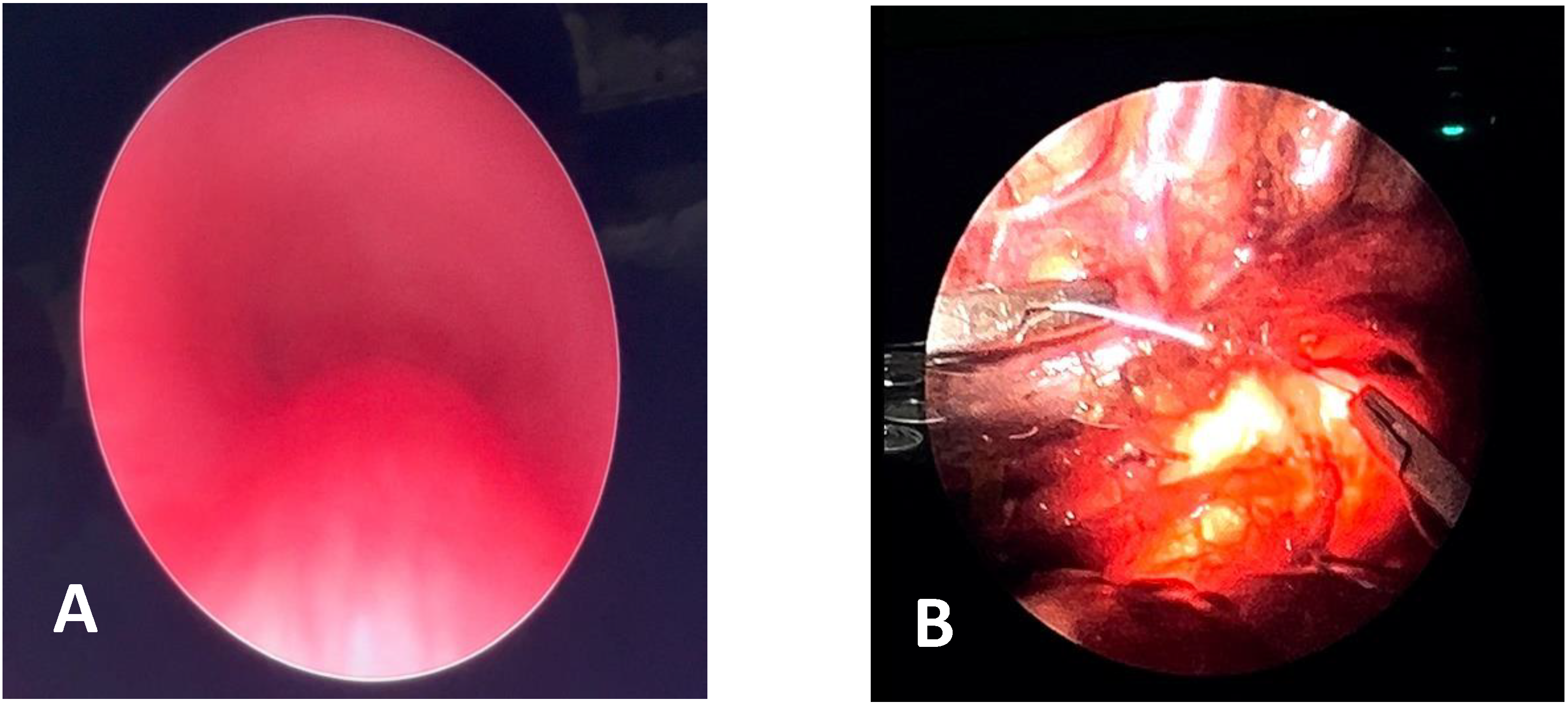 Children 12 01511 g017 Children 12 01511 g017