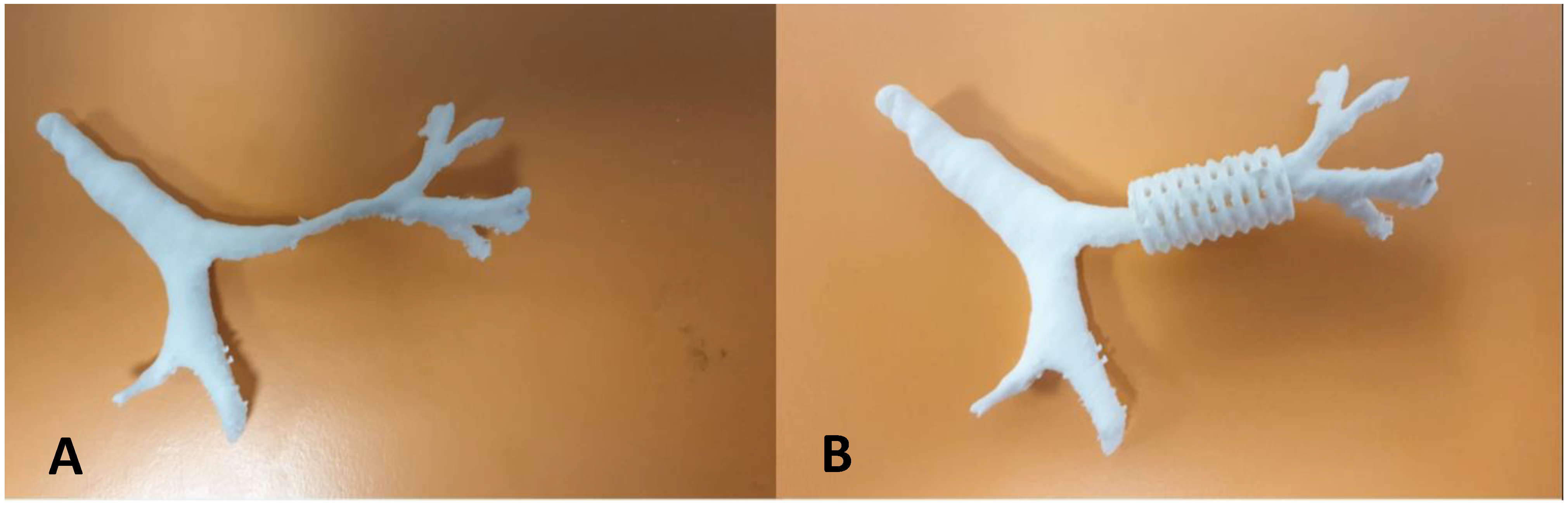 Children 12 01511 g018 Children 12 01511 g018