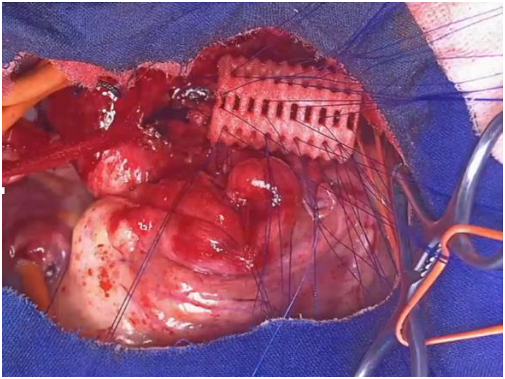 Children 12 01511 g019 Children 12 01511 g019