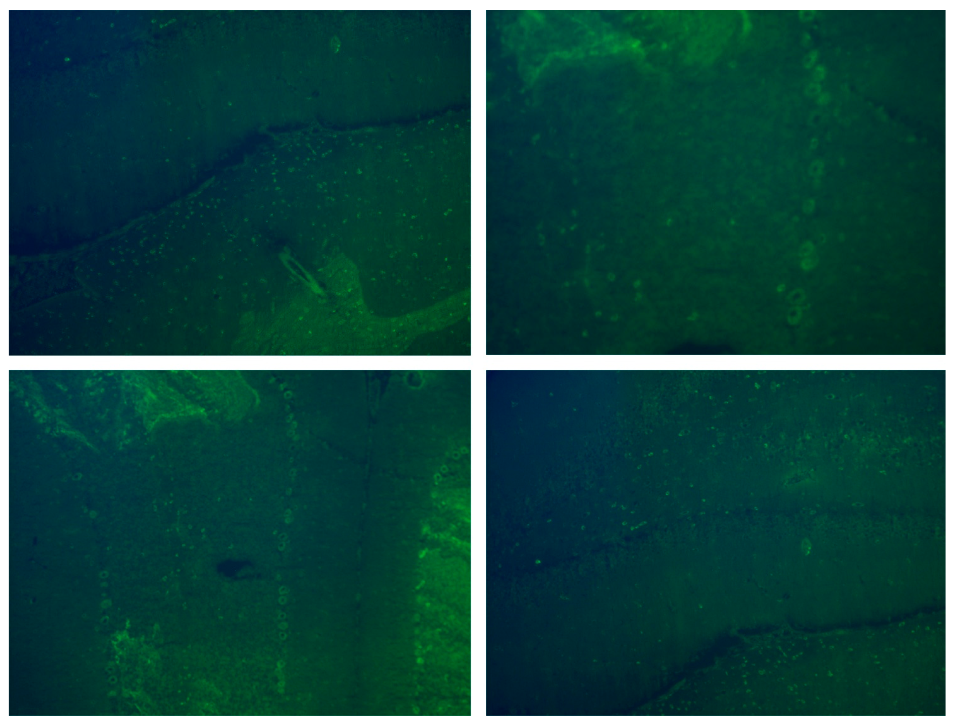 Children 12 01513 g001 Children 12 01513 g001