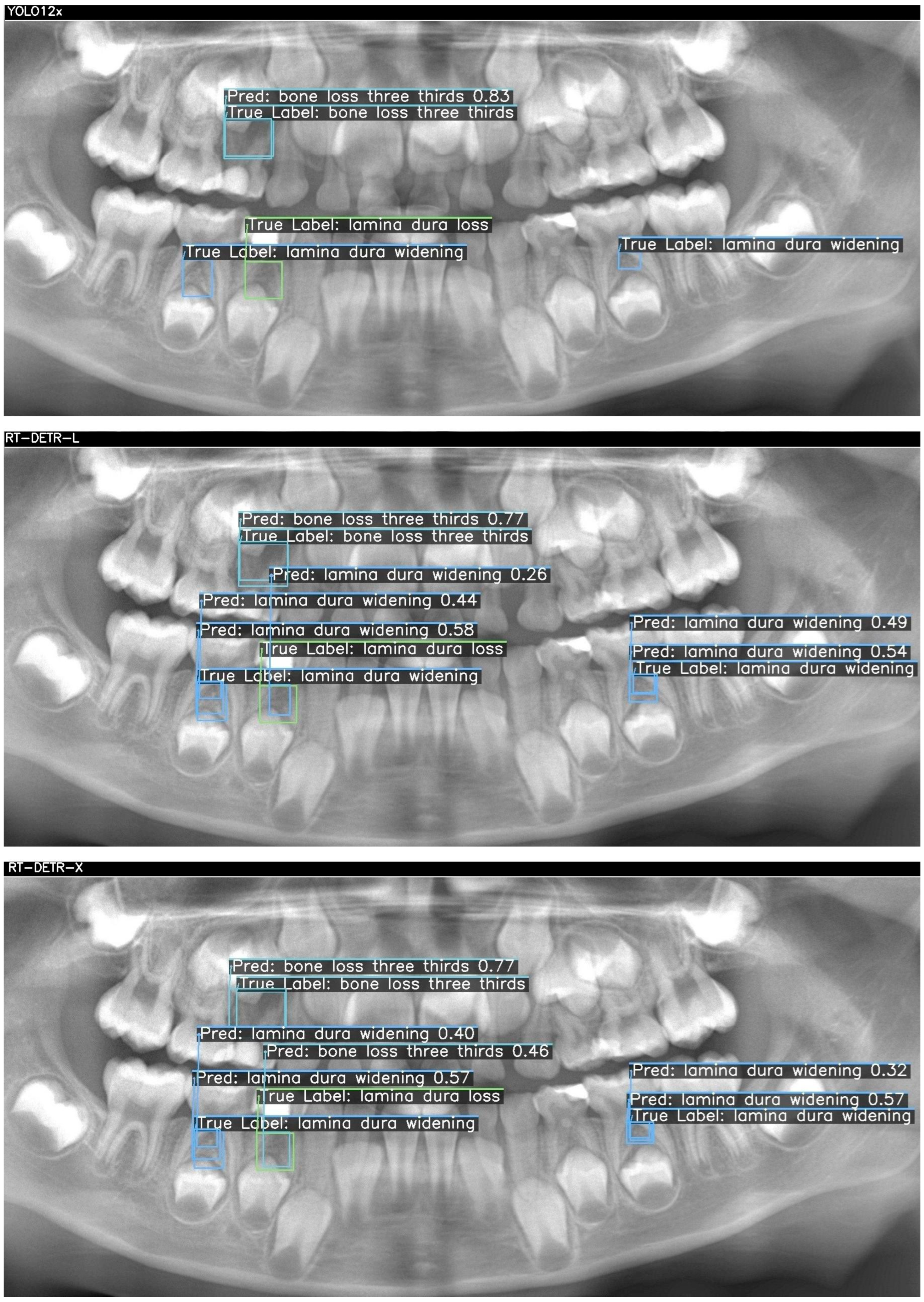 Children 12 01517 g002