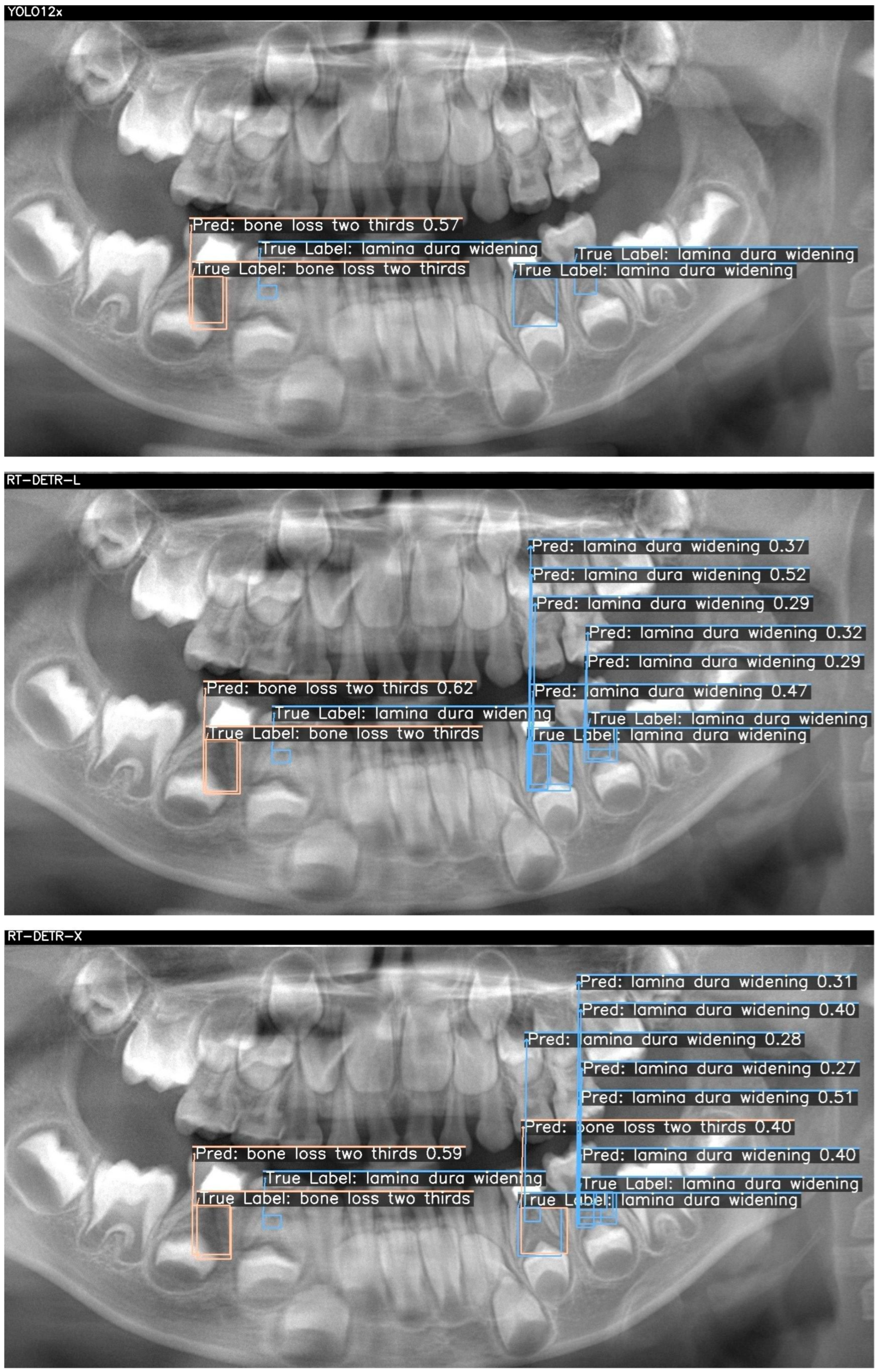 Children 12 01517 g003