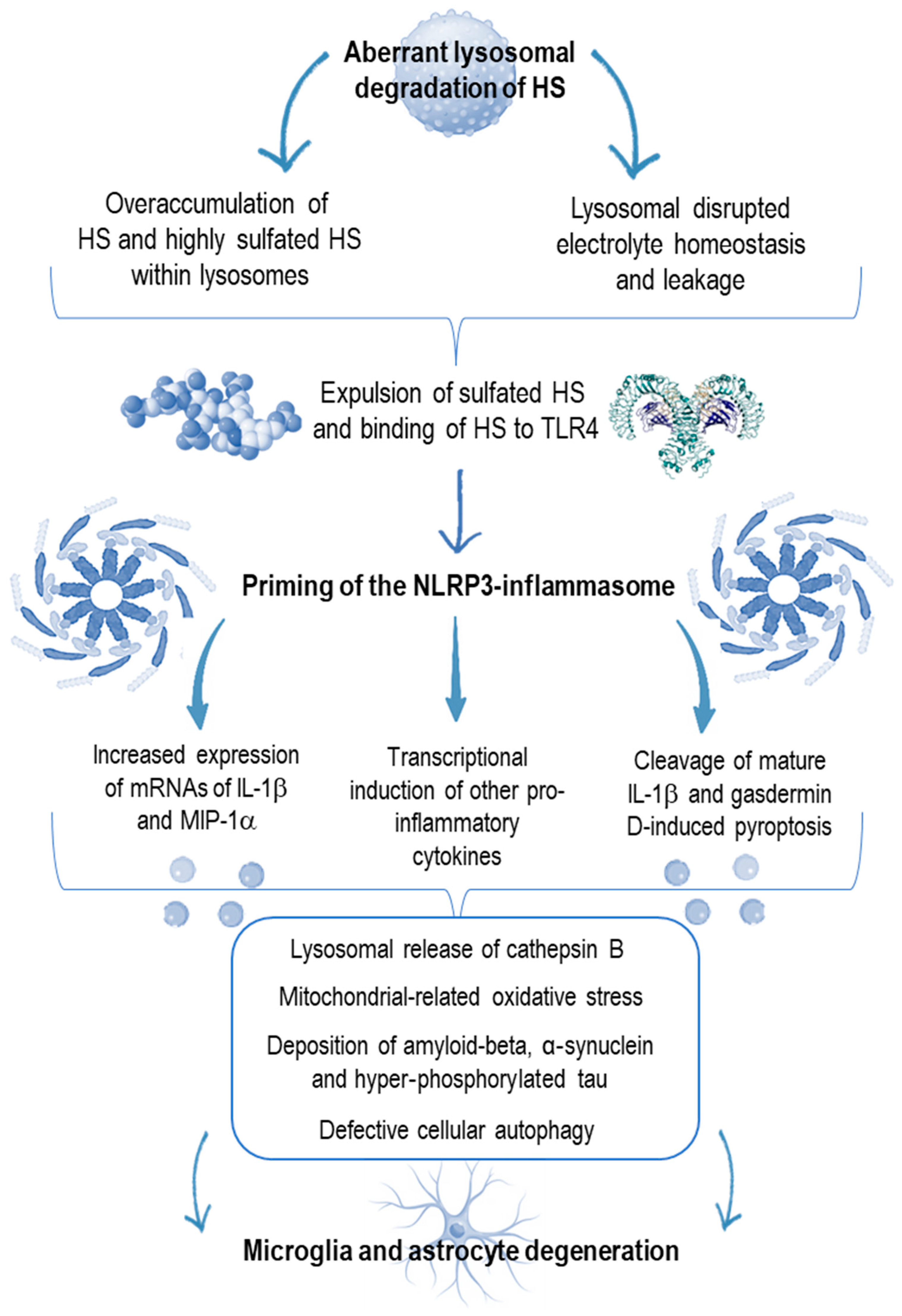 Children 12 01530 g002