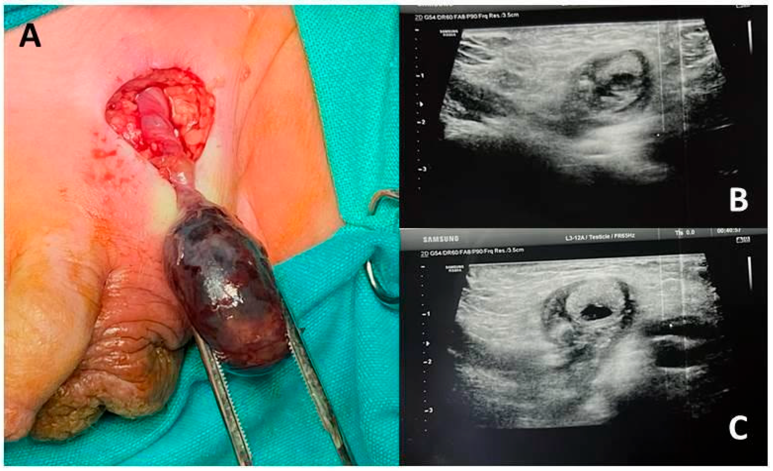 Children 12 01531 g002