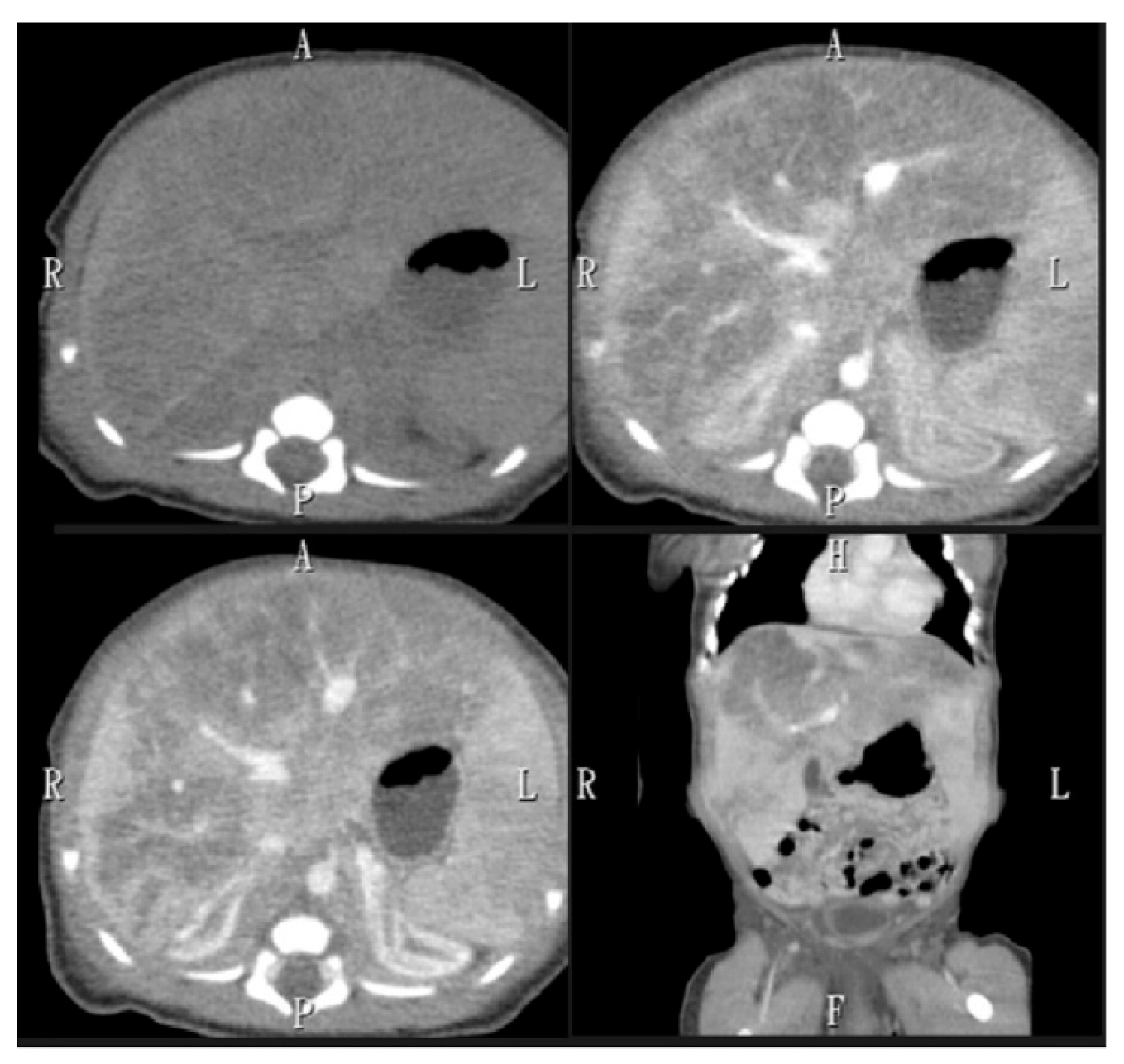 Children 12 01539 g001 Children 12 01539 g001