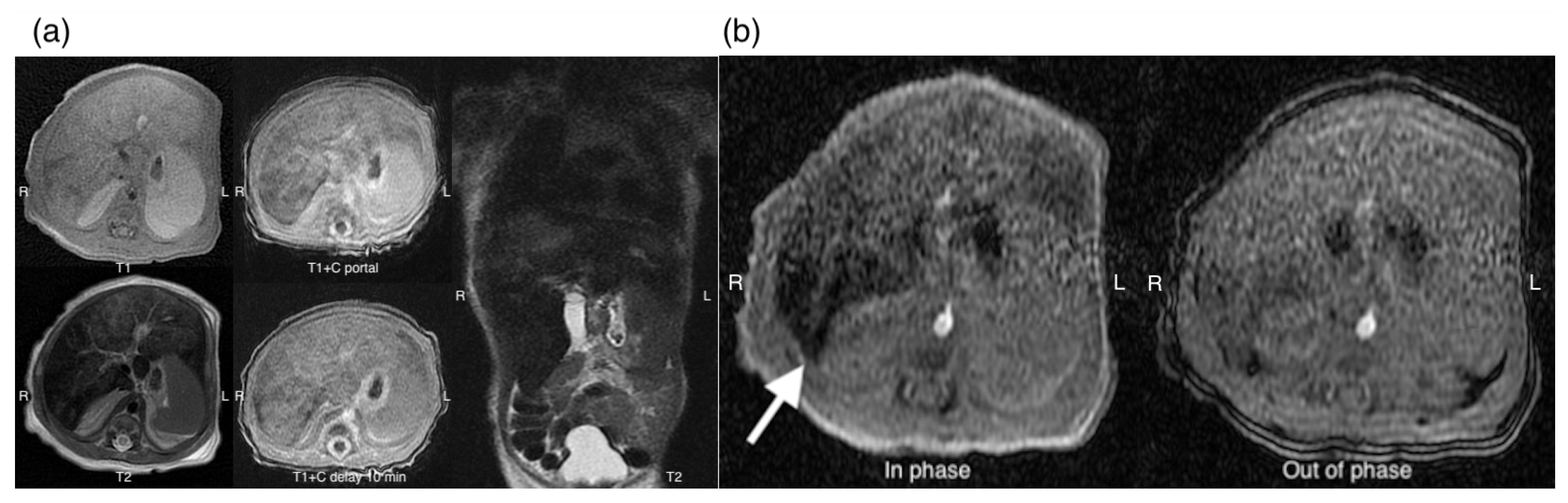 Children 12 01539 g002 Children 12 01539 g002