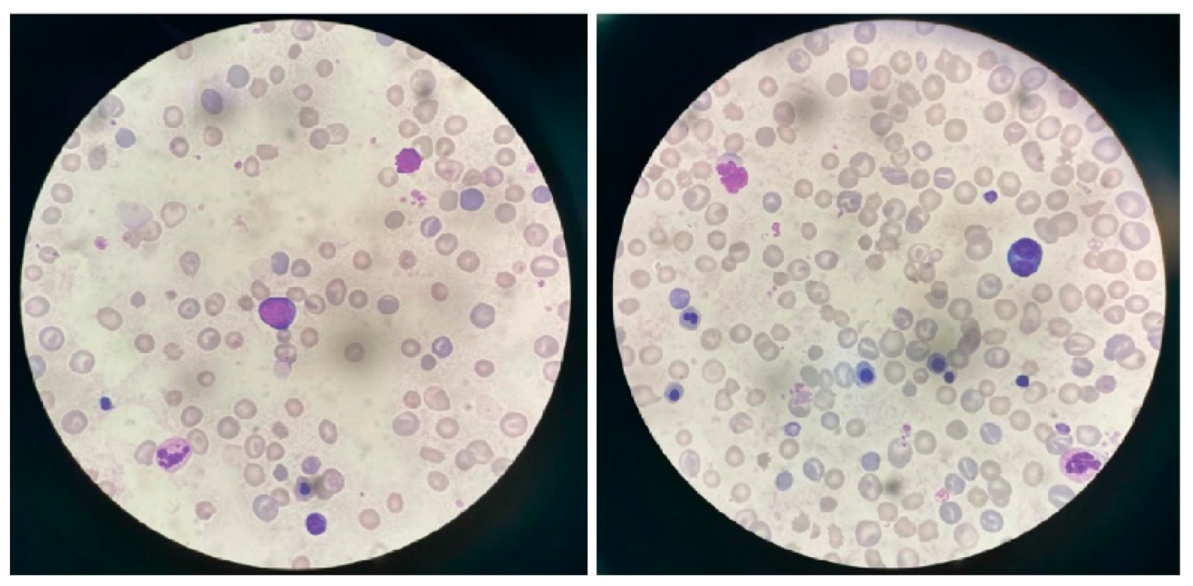 Children 12 01539 g003 Children 12 01539 g003