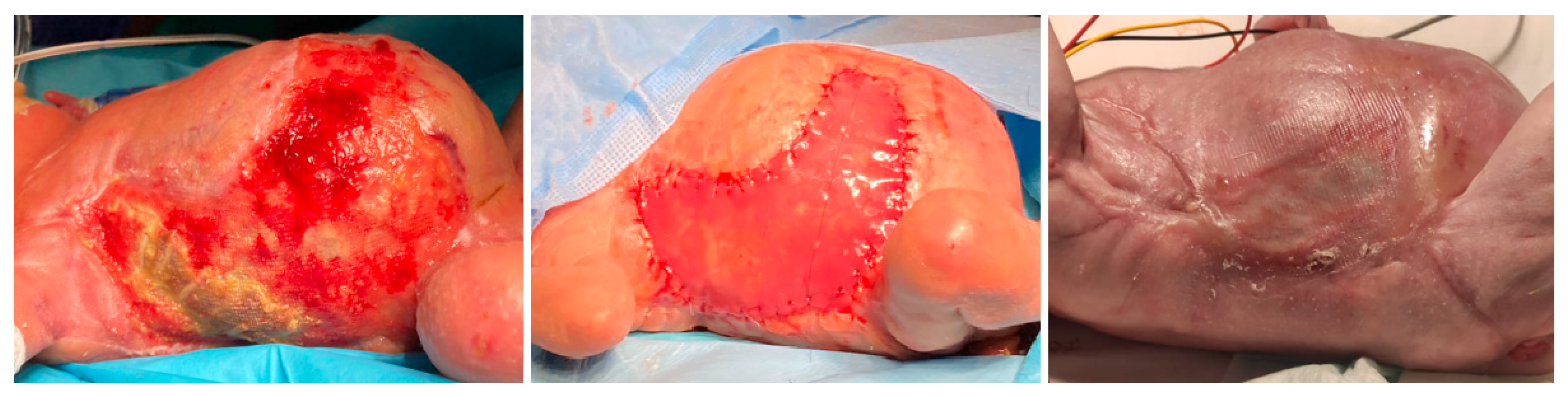 Children 12 01546 g002