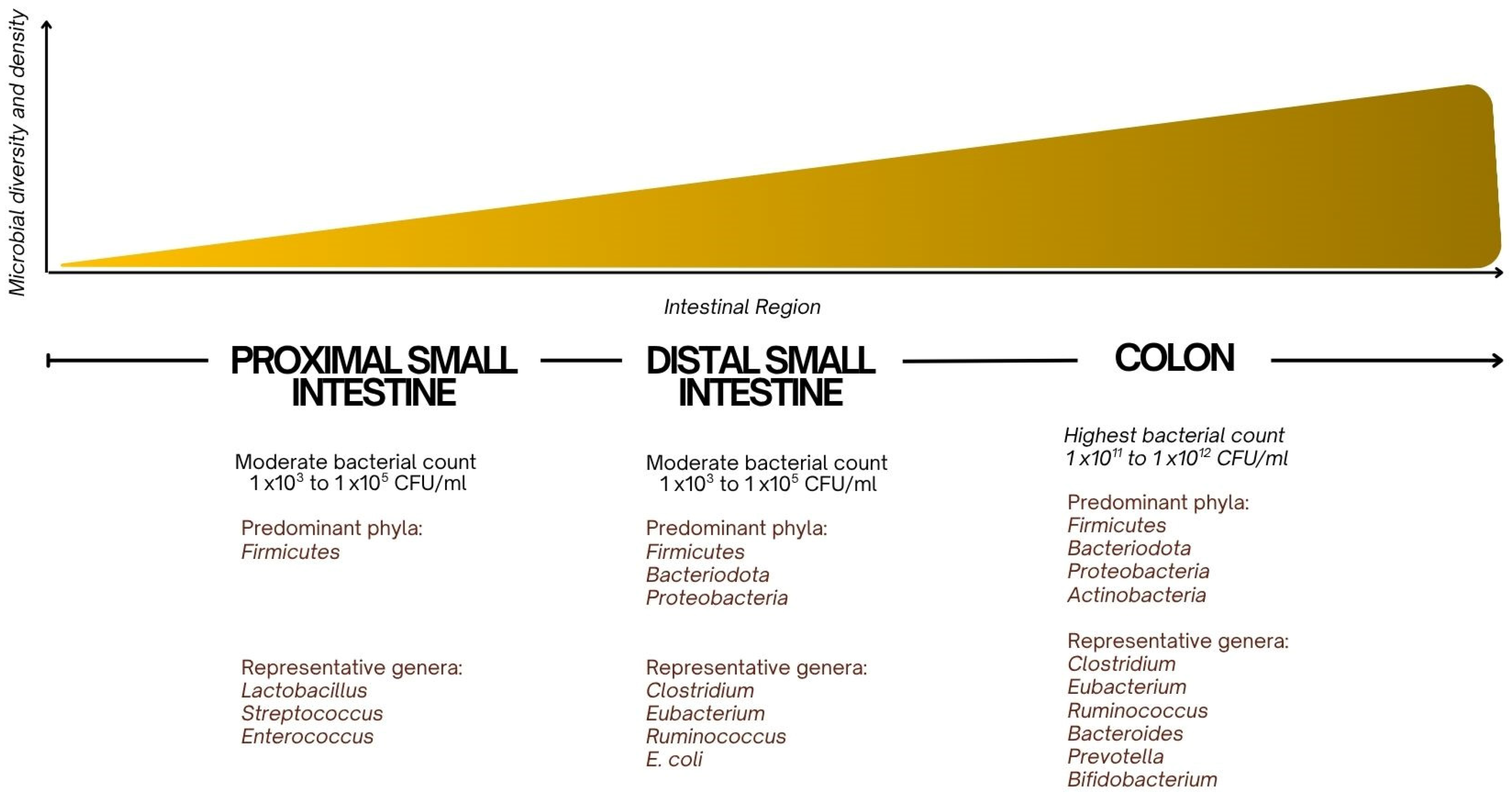 Children 12 01550 g001