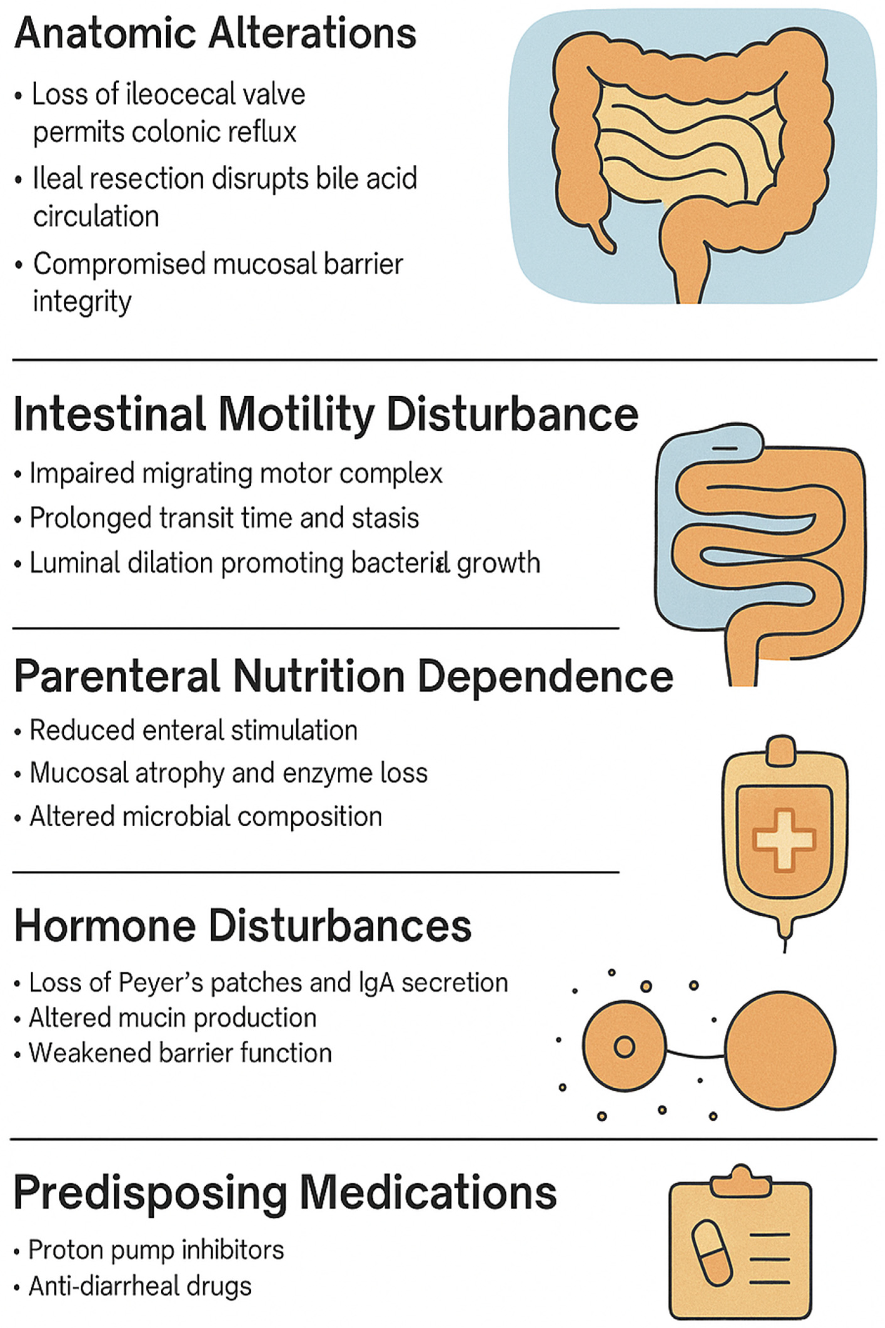 Children 12 01550 g002