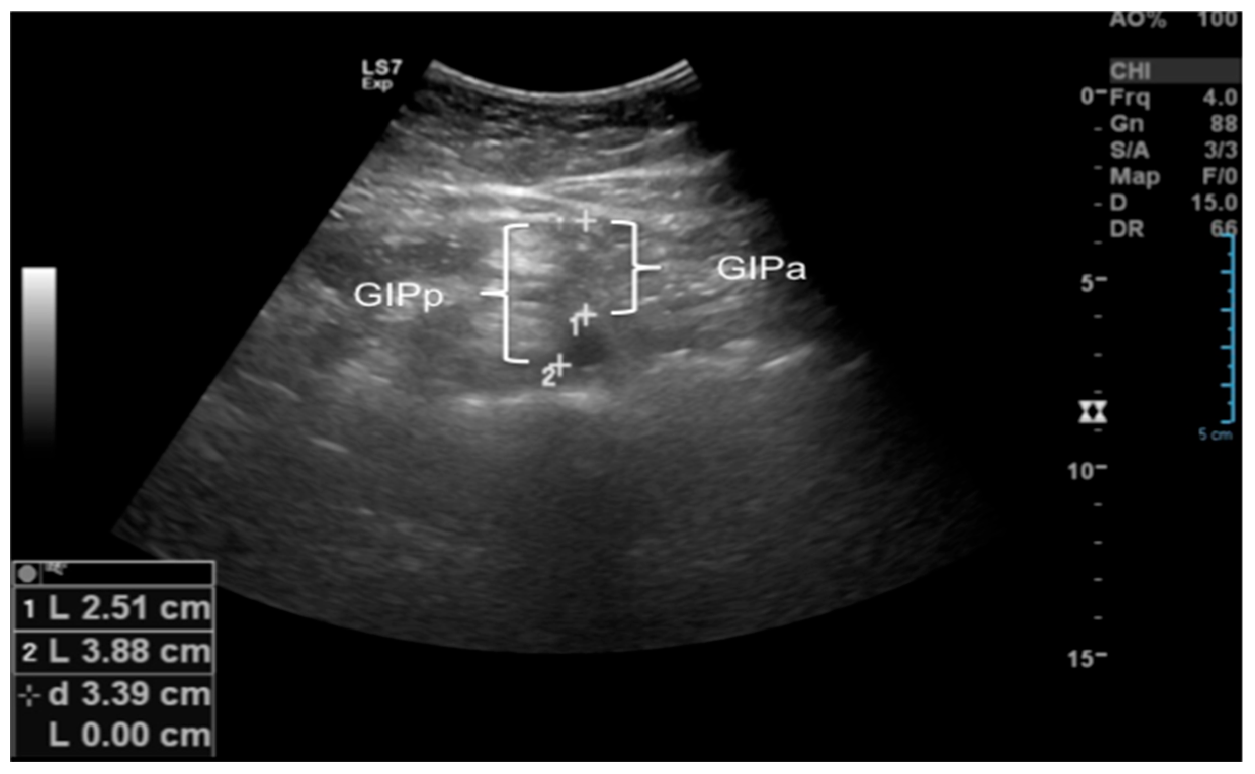 Children 12 01553 g003