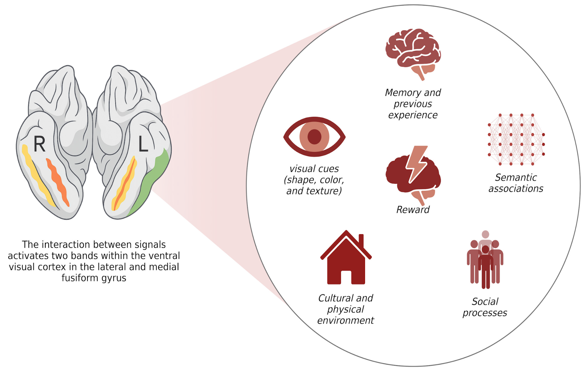 Children 12 01560 g003
