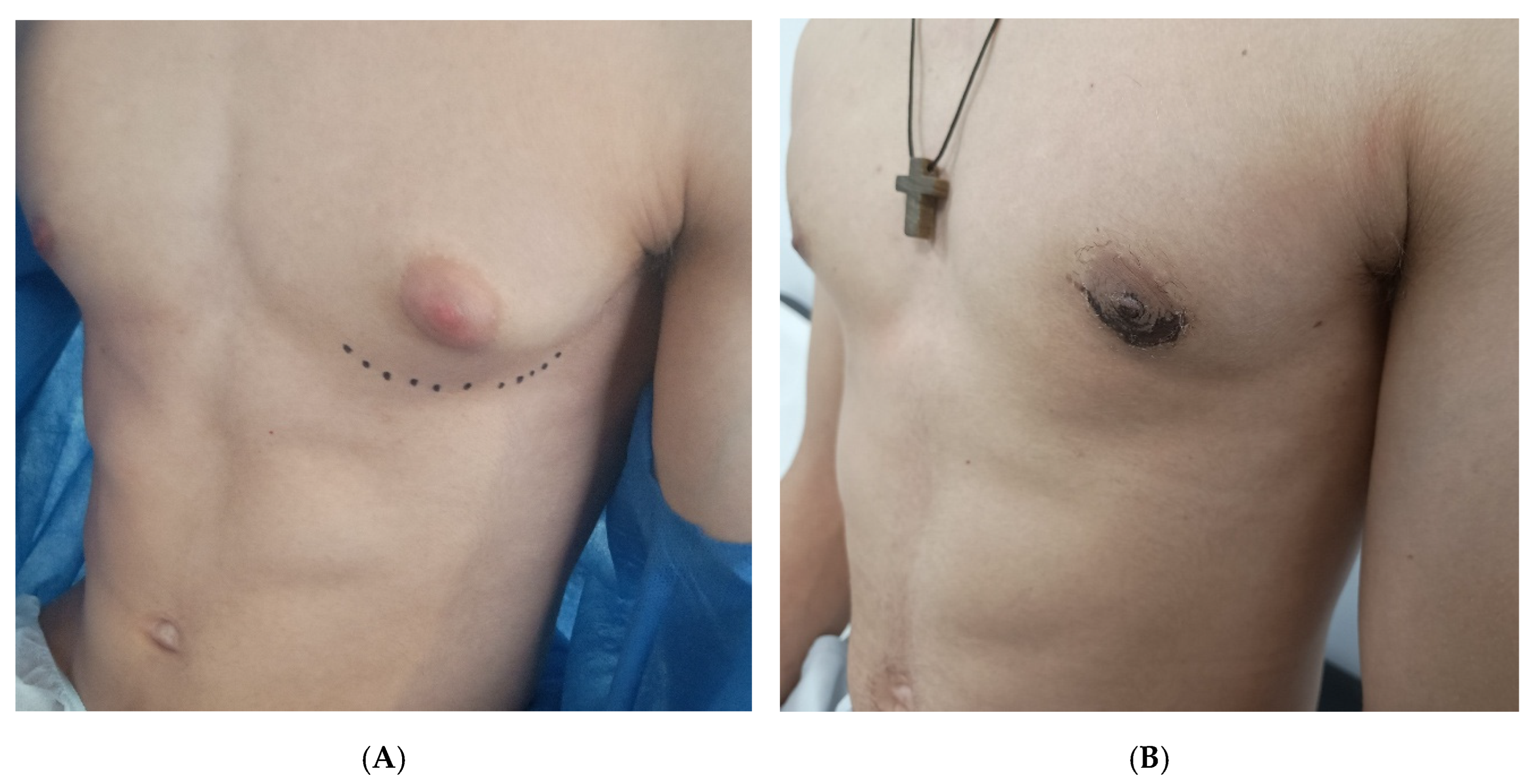 Children 12 01571 g002