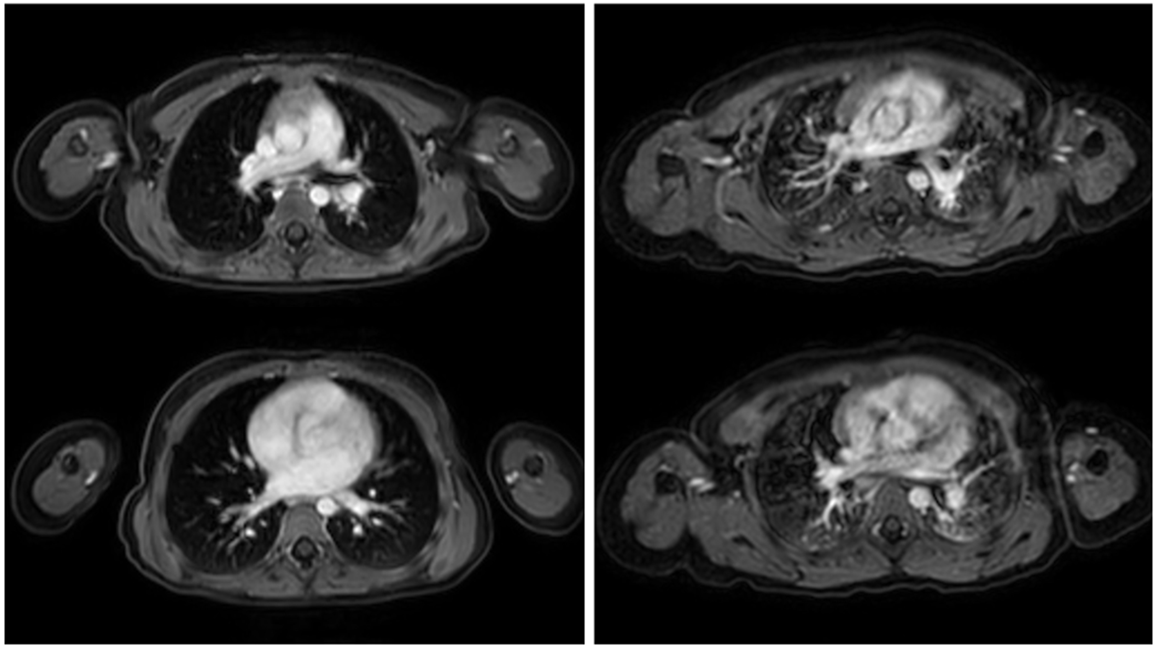 Children 12 01576 g003