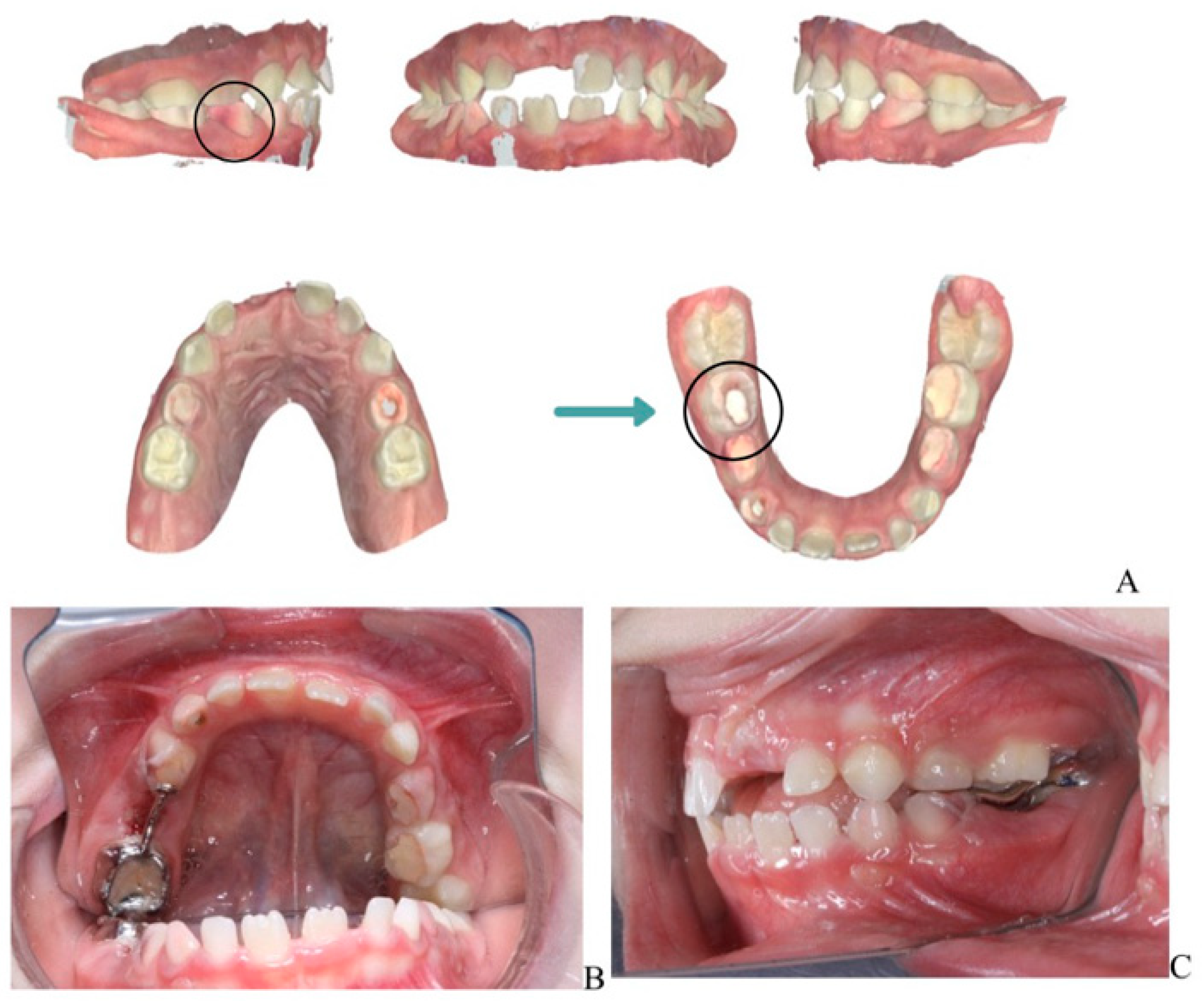 Children 13 00016 g003