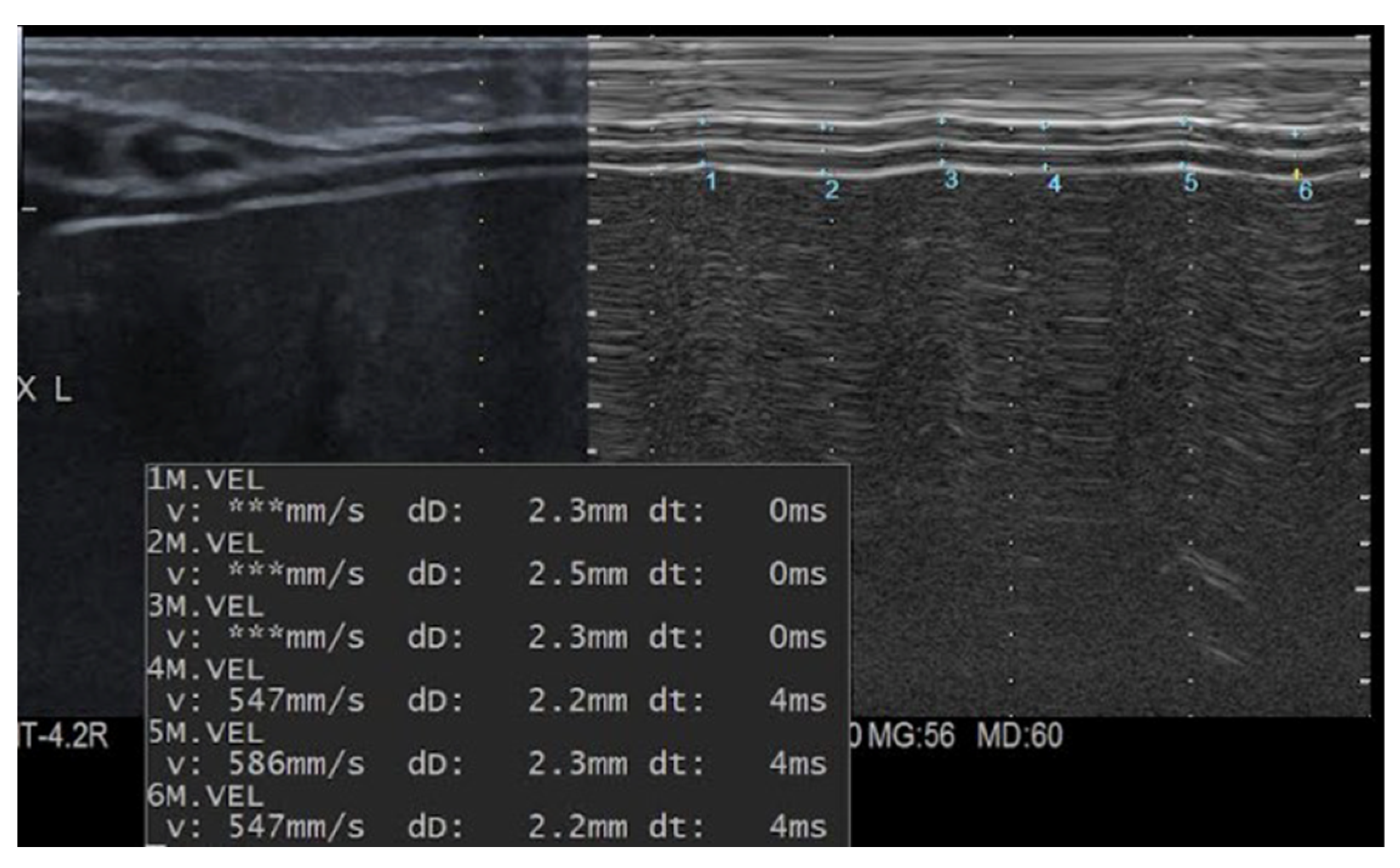 Children 13 00024 g001