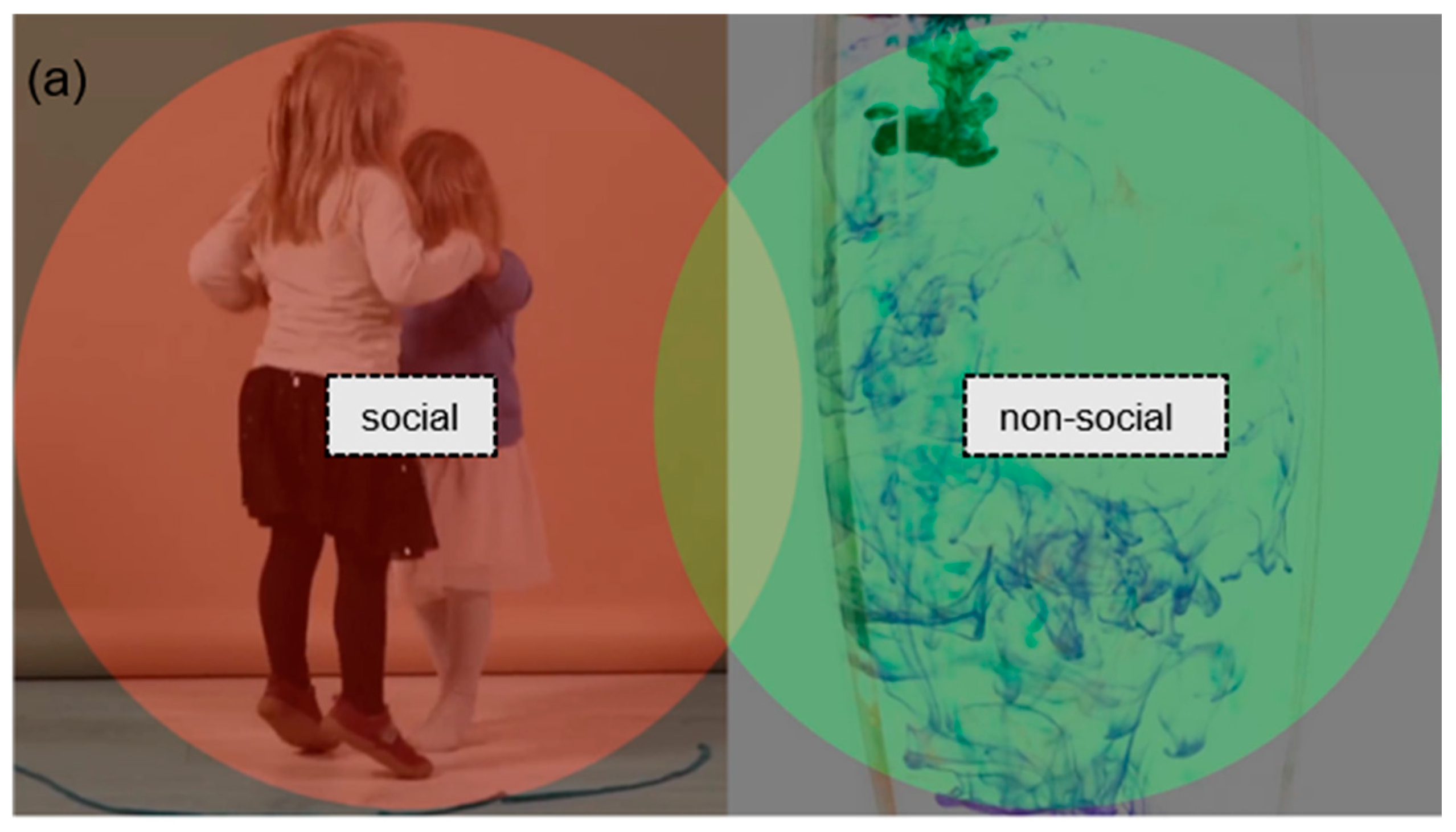 Children 13 00055 g001a