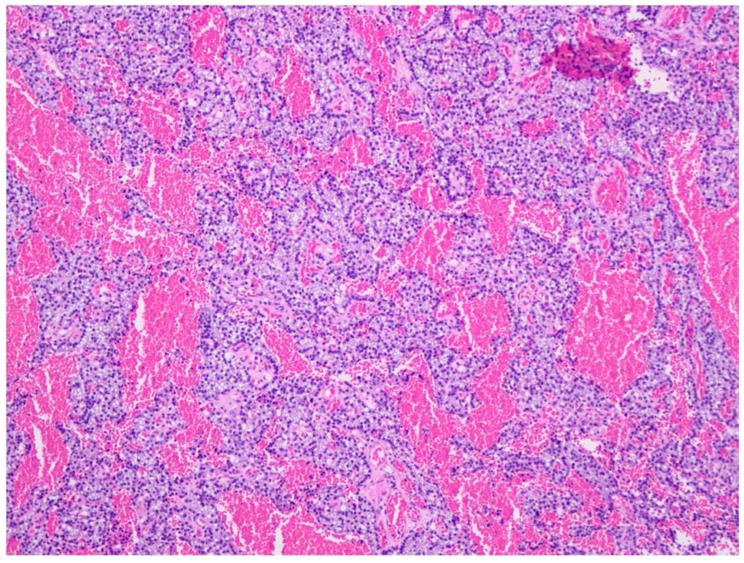 Children 13 00064 g001