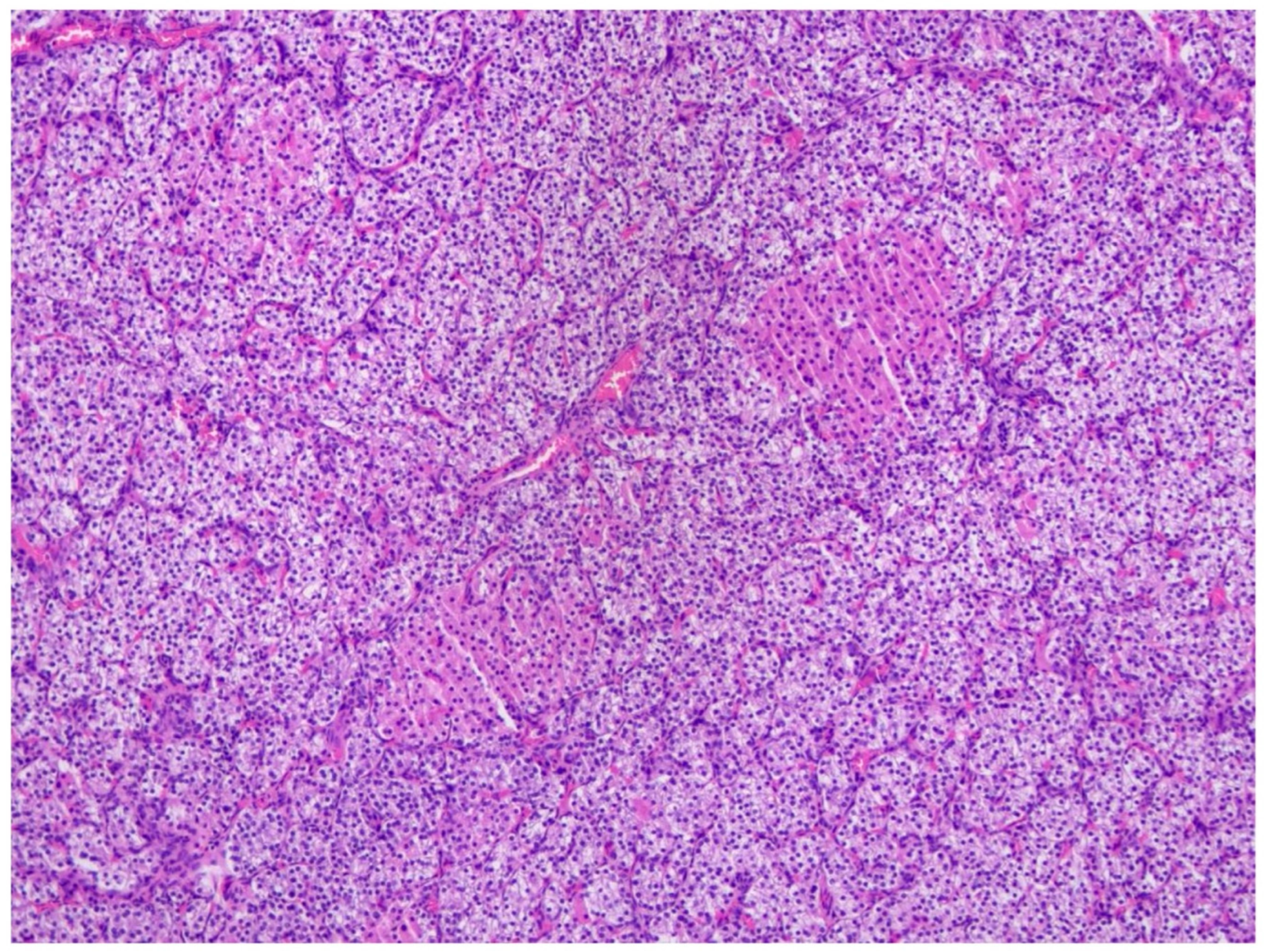 Children 13 00064 g002