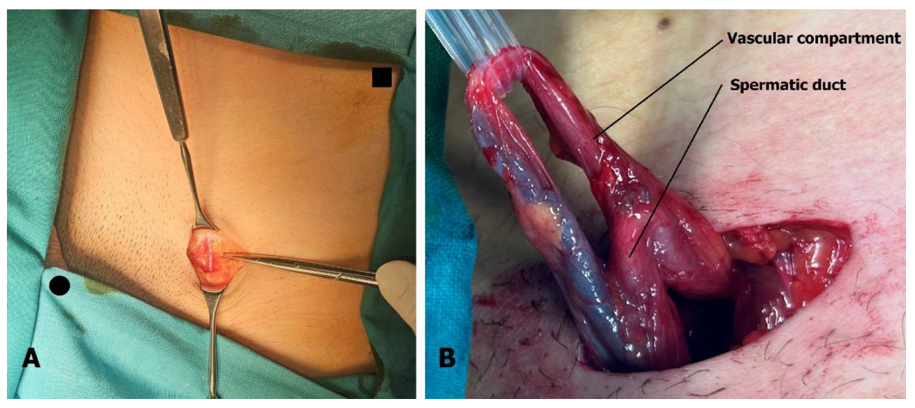 Children 13 00077 g003 Children 13 00077 g003