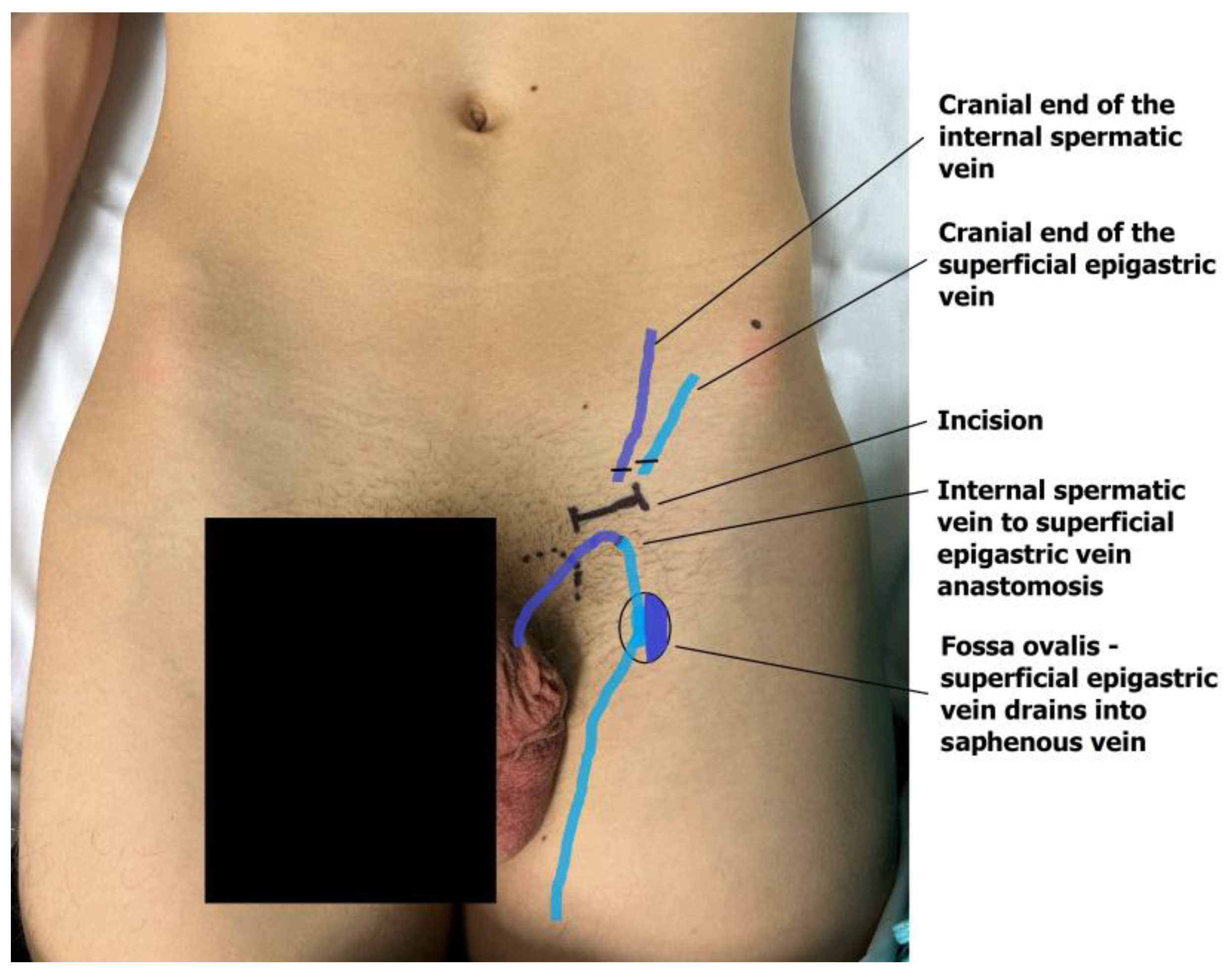 Children 13 00077 g004 Children 13 00077 g004