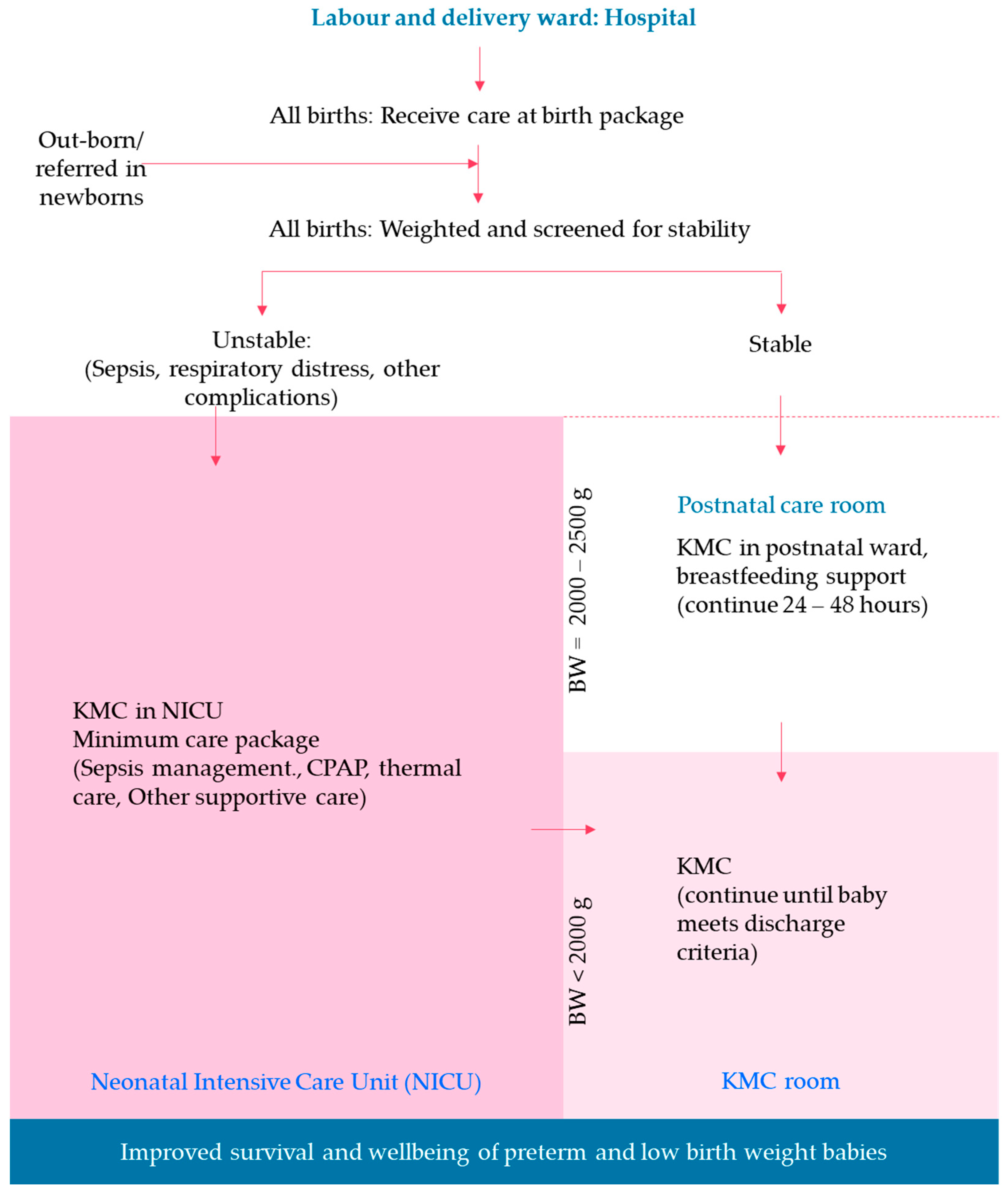 Children 13 00187 g002 Children 13 00187 g002