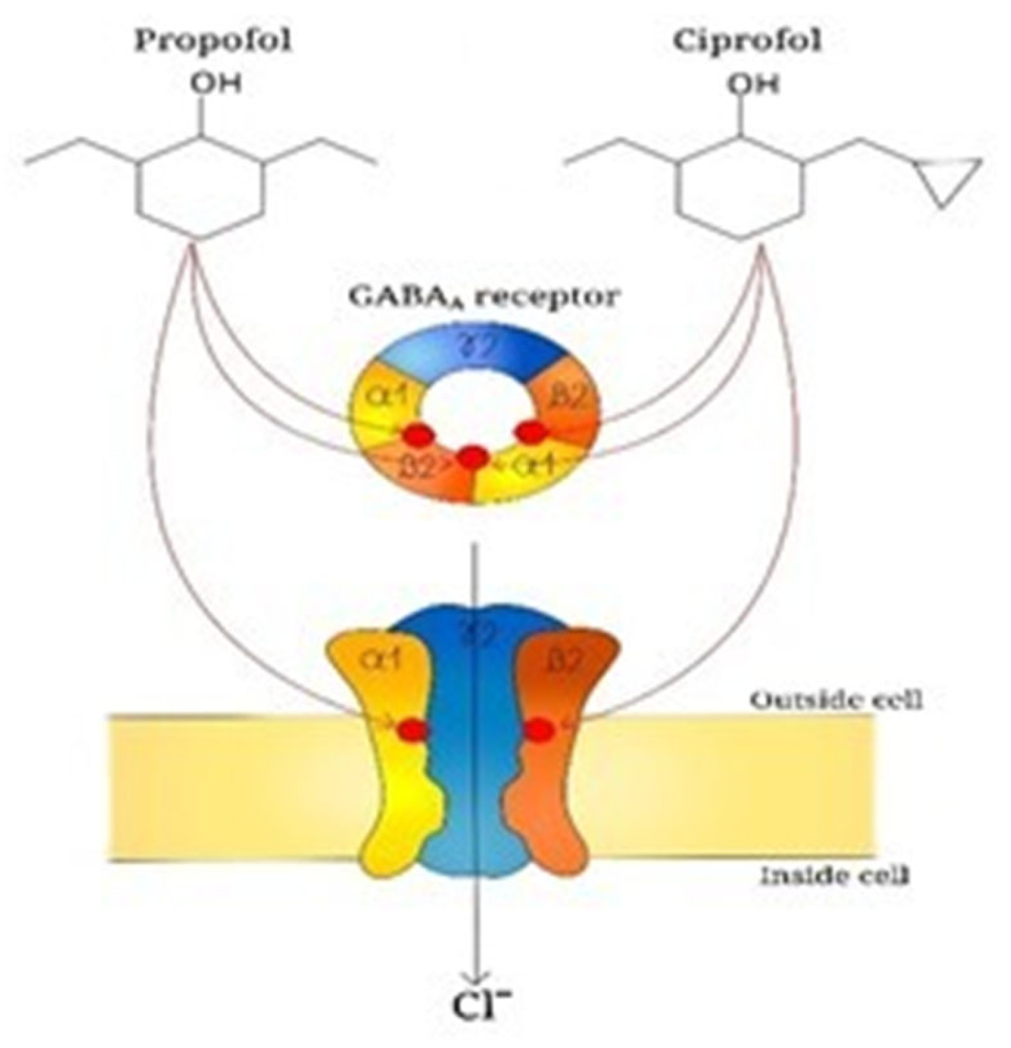 Children 13 00188 g002