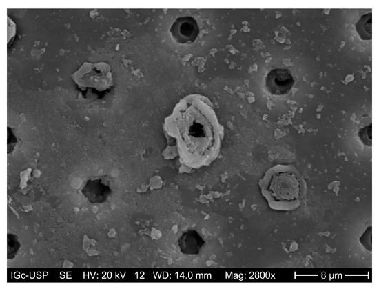 口コミ・レビュー評価が高いおすすめ人気商品の通販 Semiconductor on Effects Radiation-Induced Devices: Brief A 語学+参考書