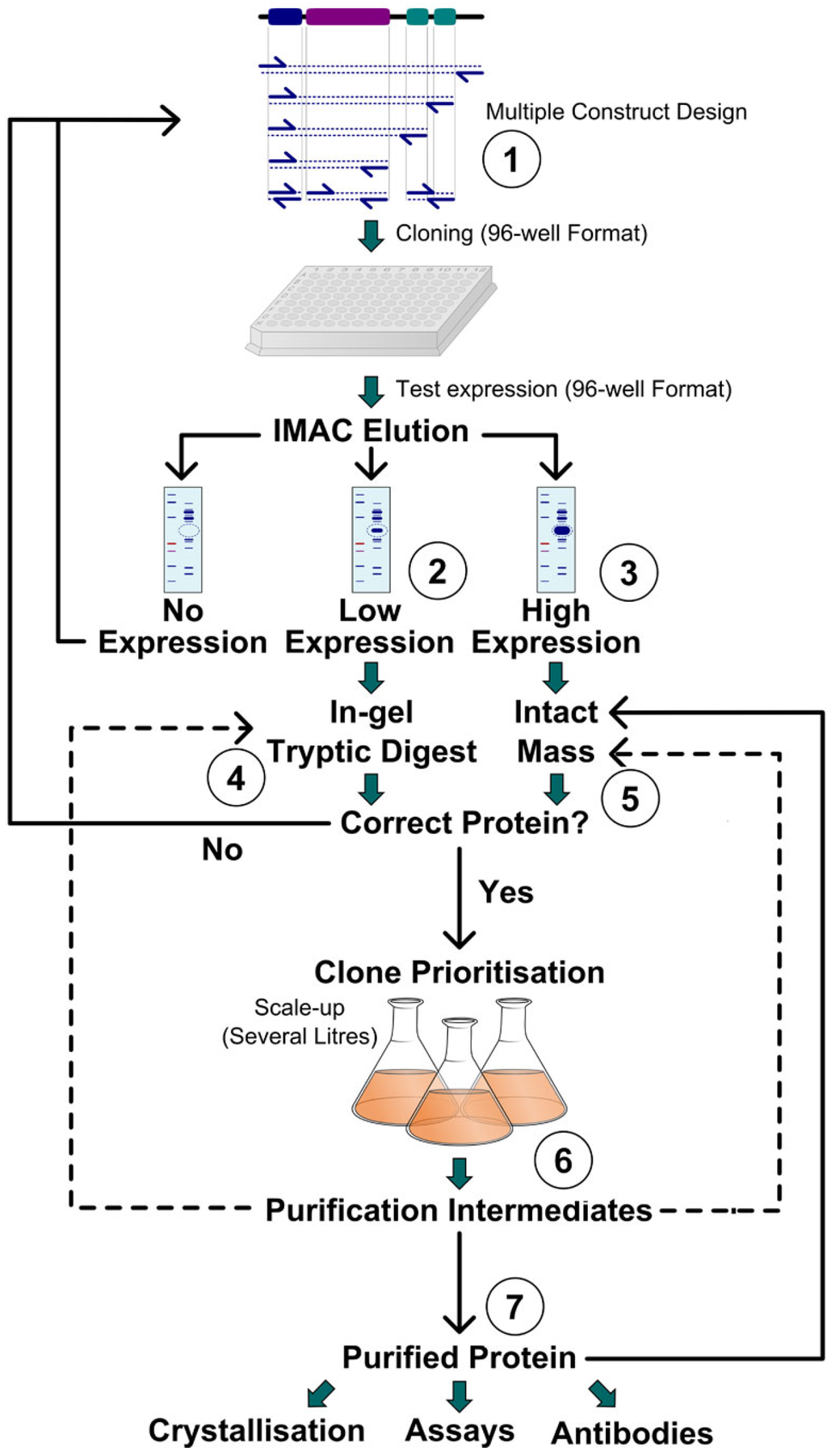 Chromatography Free FullText HighThroughput Mass Spectrometry