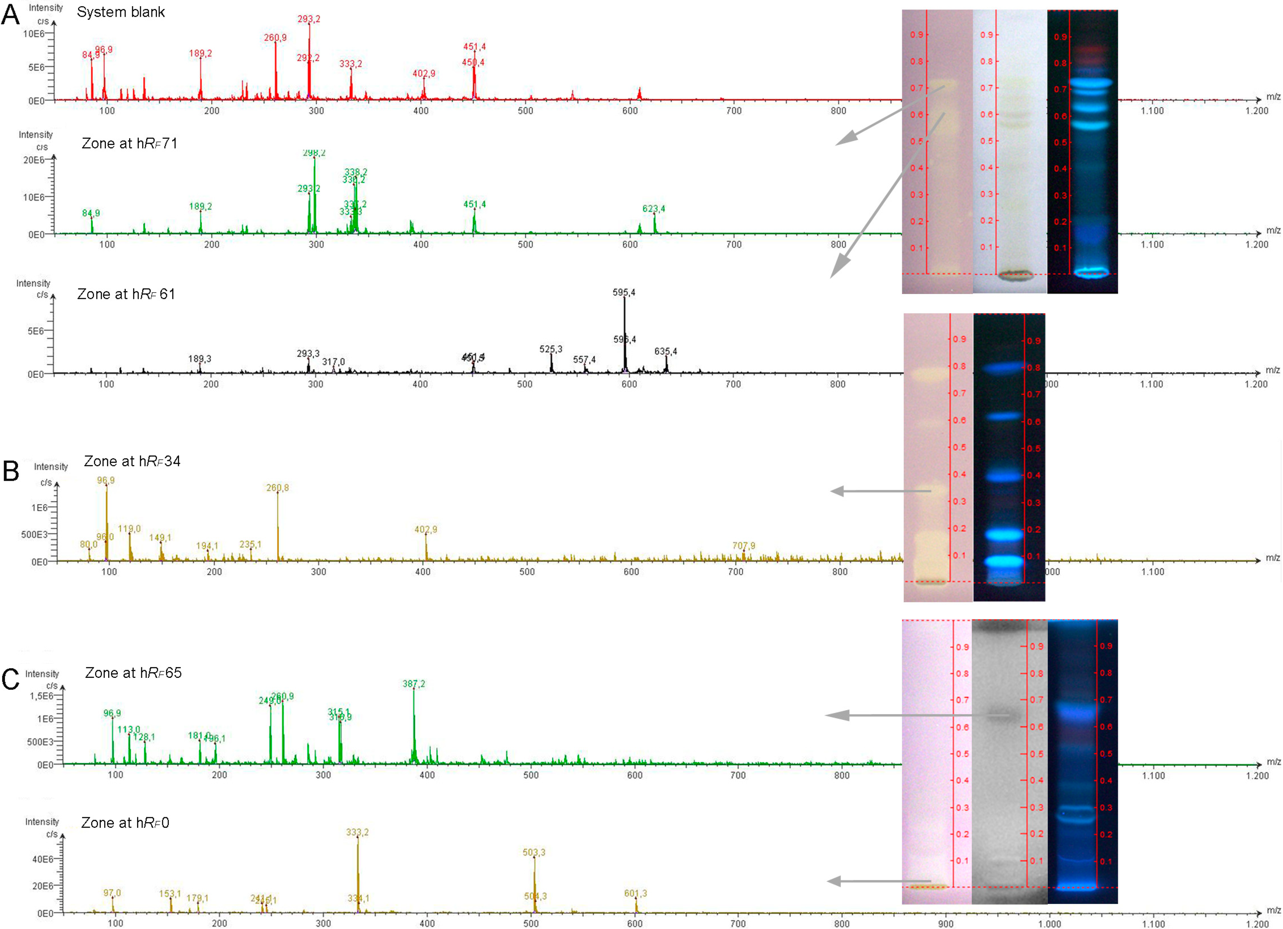 Chromatography Free Full Text Analysis Of Bioactive Chromatography Free Full Text Analysis Of Bioactive