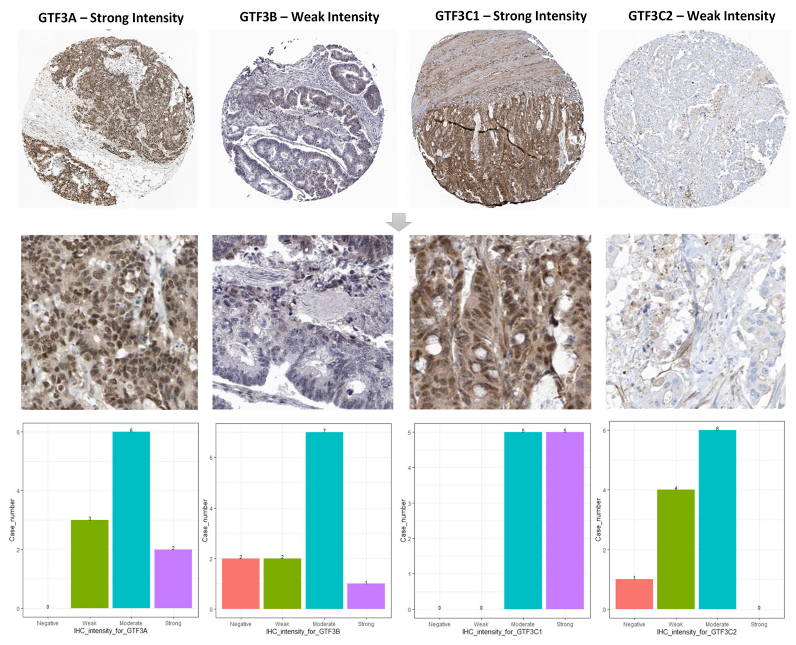 Cimb 43 00002 g005 Cimb 43 00002 g005