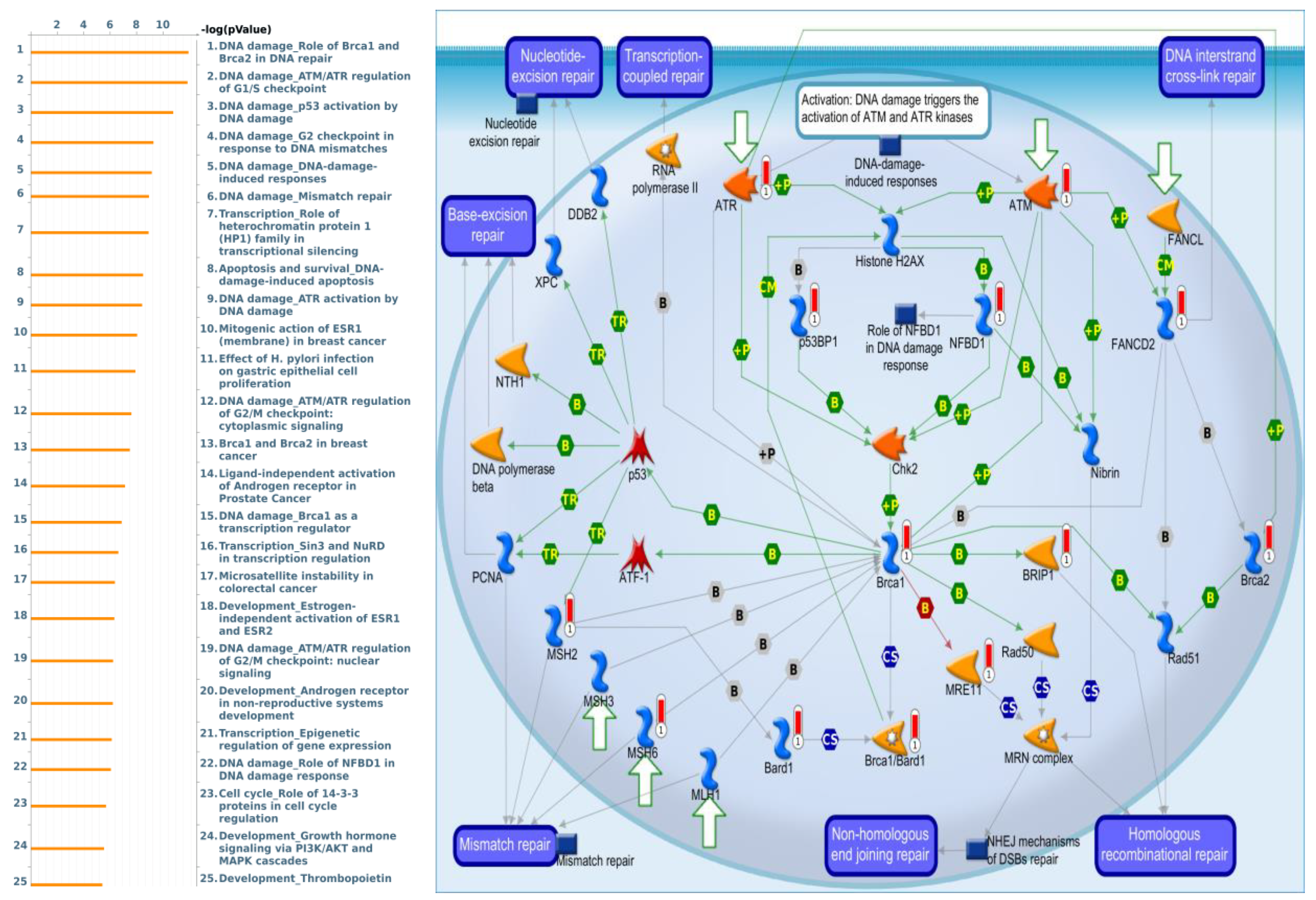 Cimb 43 00002 g010 Cimb 43 00002 g010