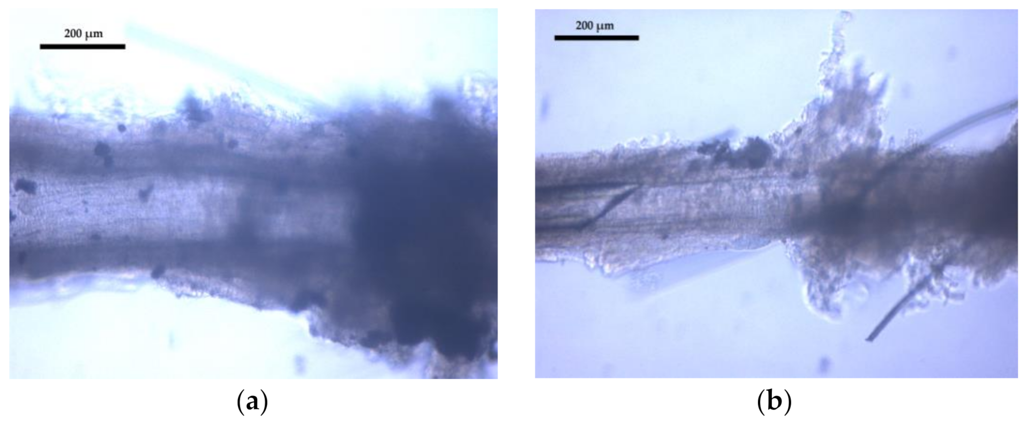 Cimb 43 00007 g001 Cimb 43 00007 g001