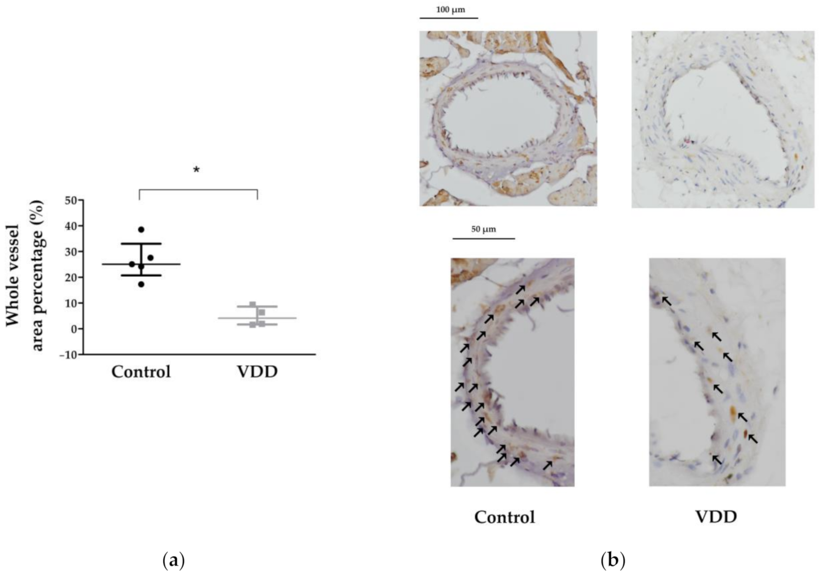 Cimb 43 00007 g004 Cimb 43 00007 g004