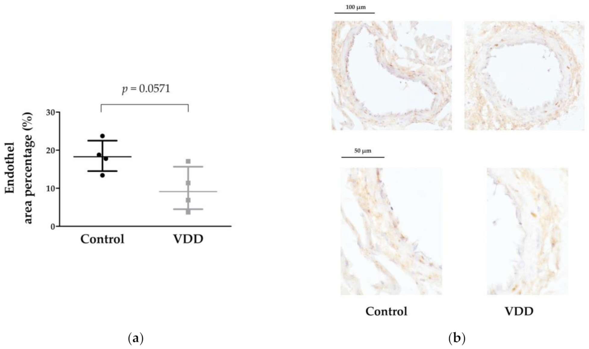 Cimb 43 00007 g005 Cimb 43 00007 g005