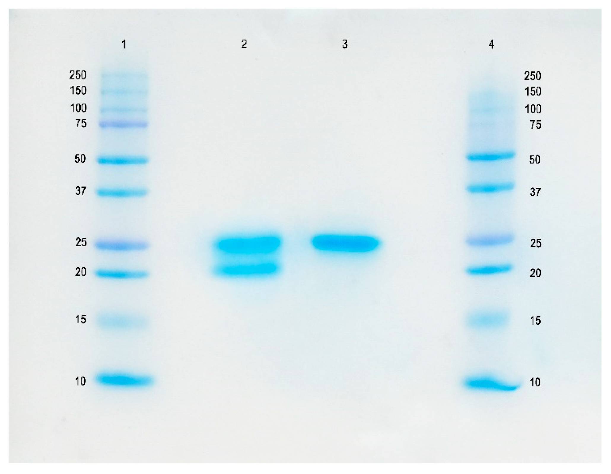 Cimb 43 00008 g001 Cimb 43 00008 g001