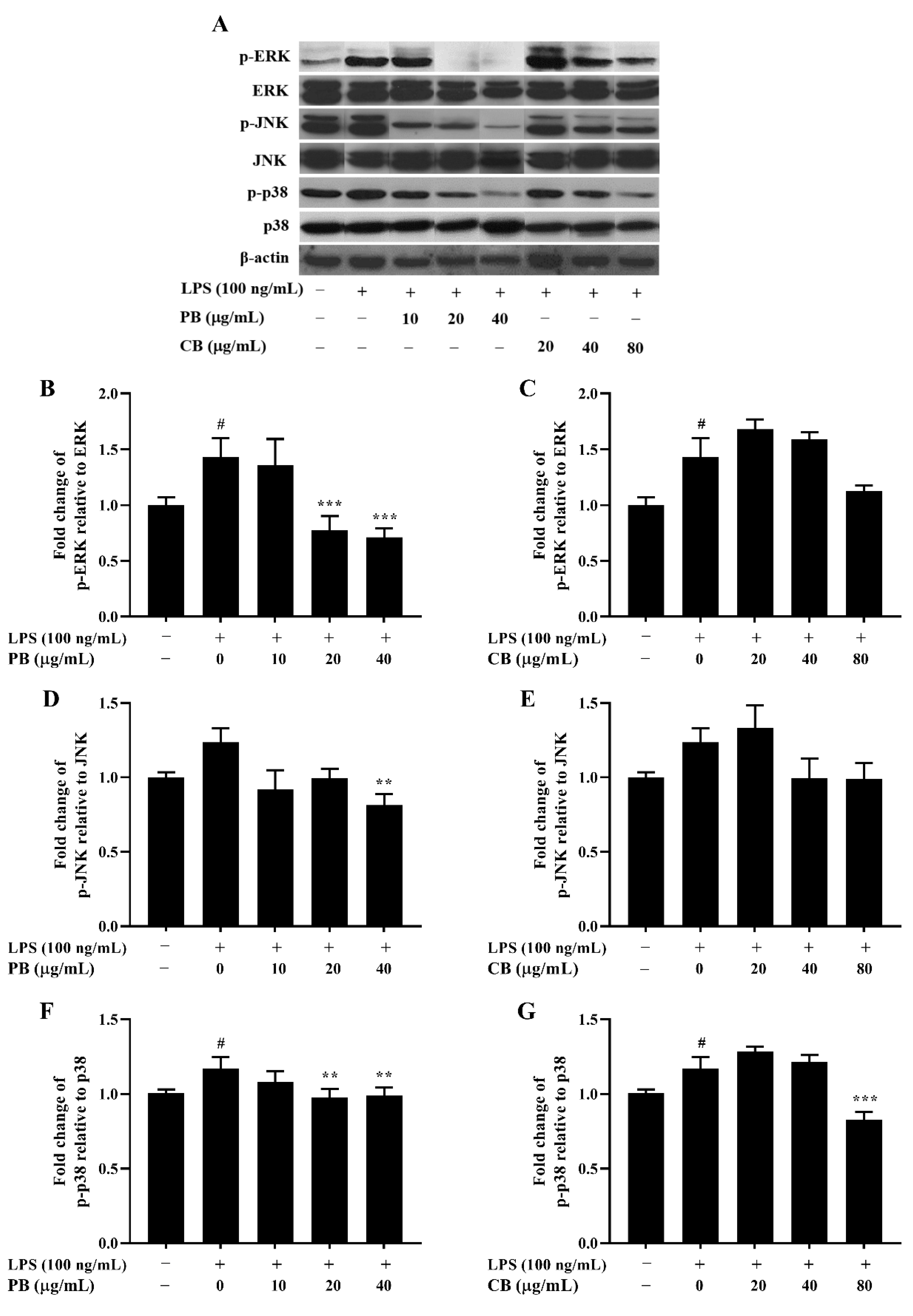 Cimb 43 00008 g006 Cimb 43 00008 g006