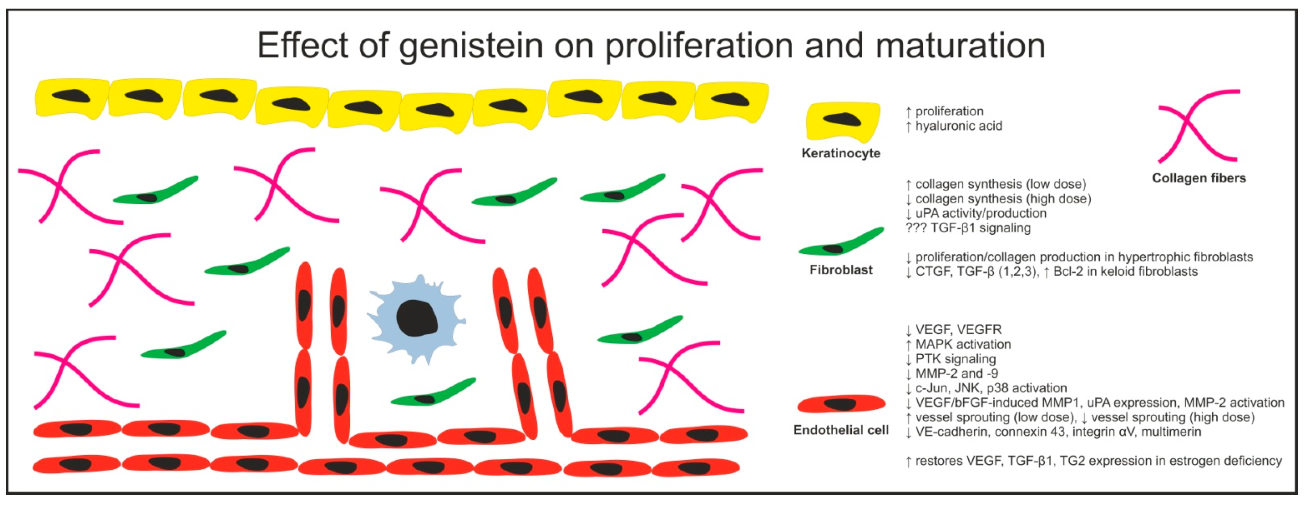 Cimb 43 00011 g002 Cimb 43 00011 g002