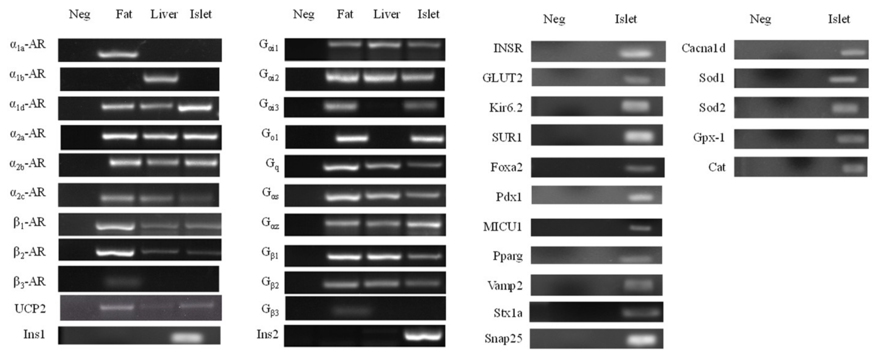 Cimb 43 00020 g005 Cimb 43 00020 g005