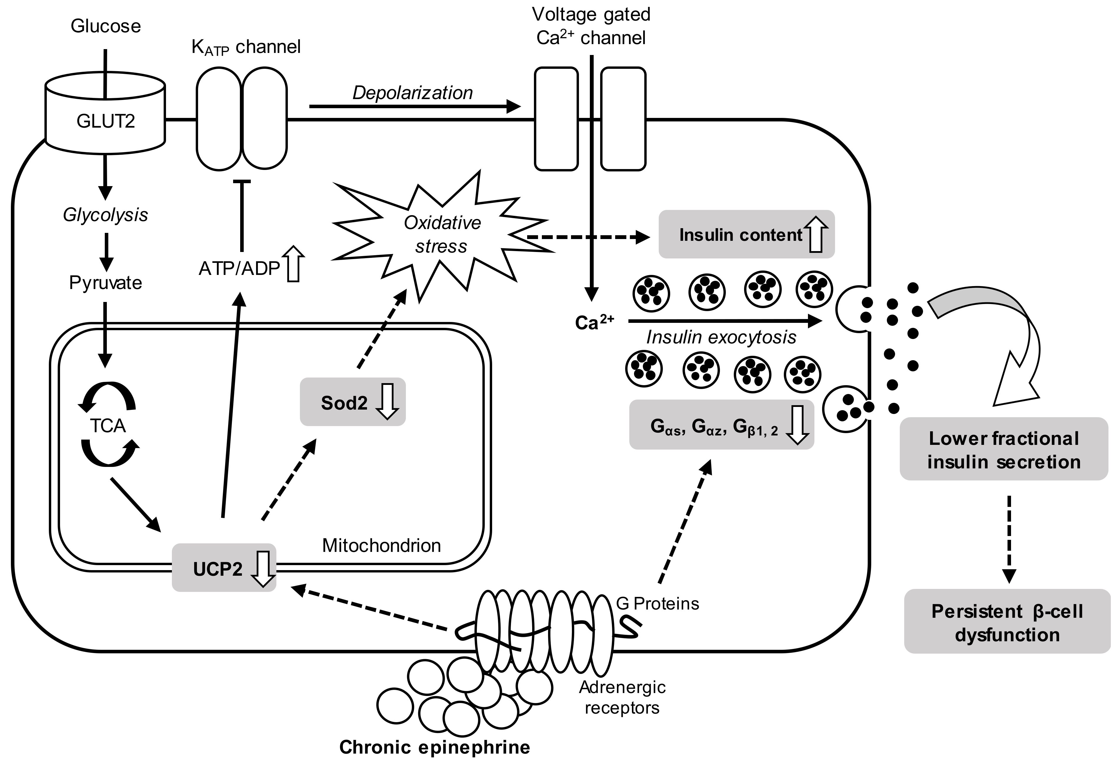 Cimb 43 00020 g008 Cimb 43 00020 g008