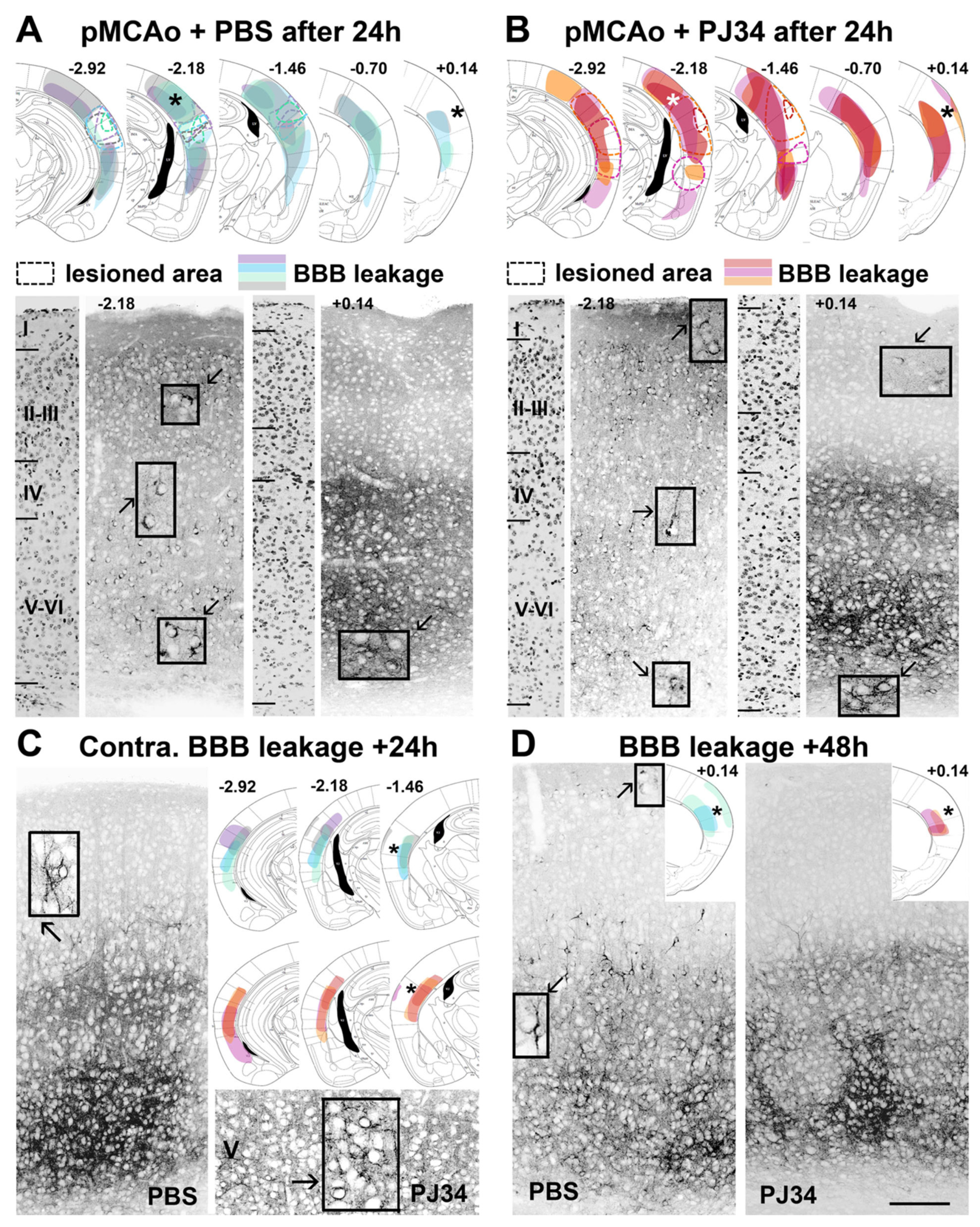 Cimb 43 00025 g002 Cimb 43 00025 g002