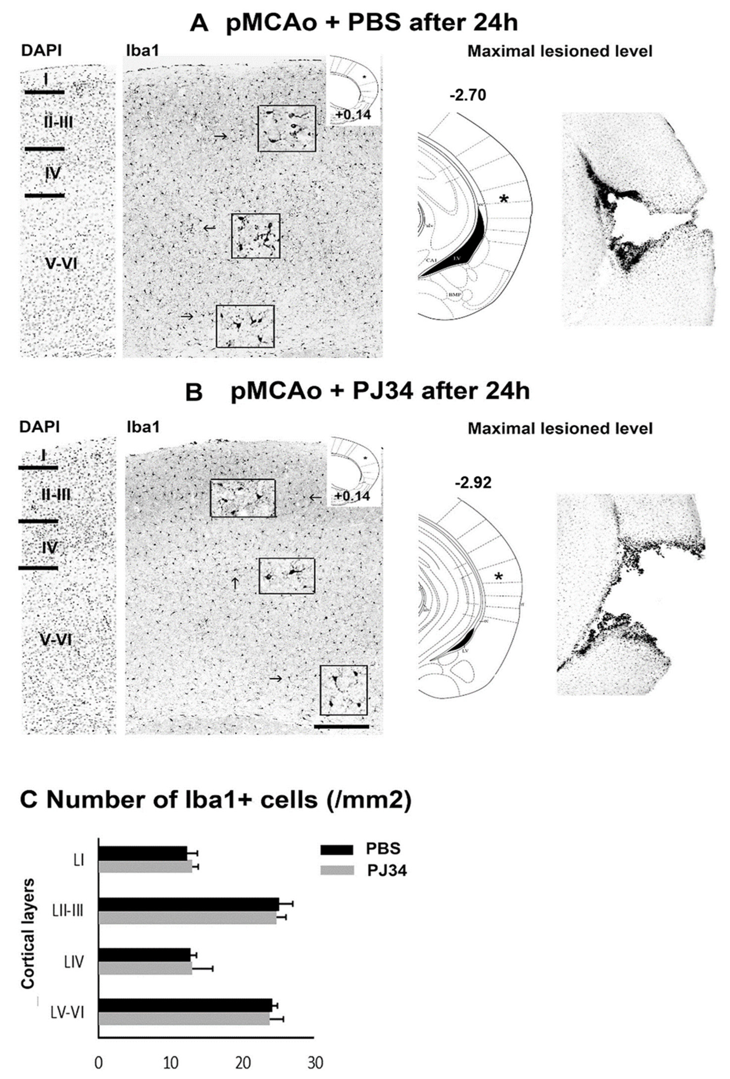 Cimb 43 00025 g004 Cimb 43 00025 g004